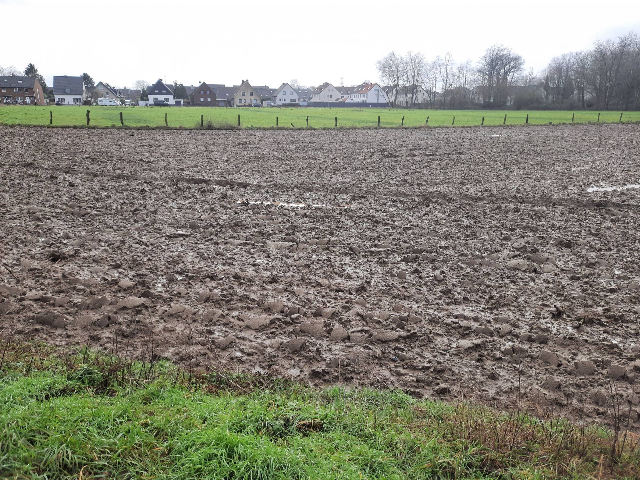 Die Äcker südlich der Rathausallee sind für den Wohnungsbau vorgesehen.