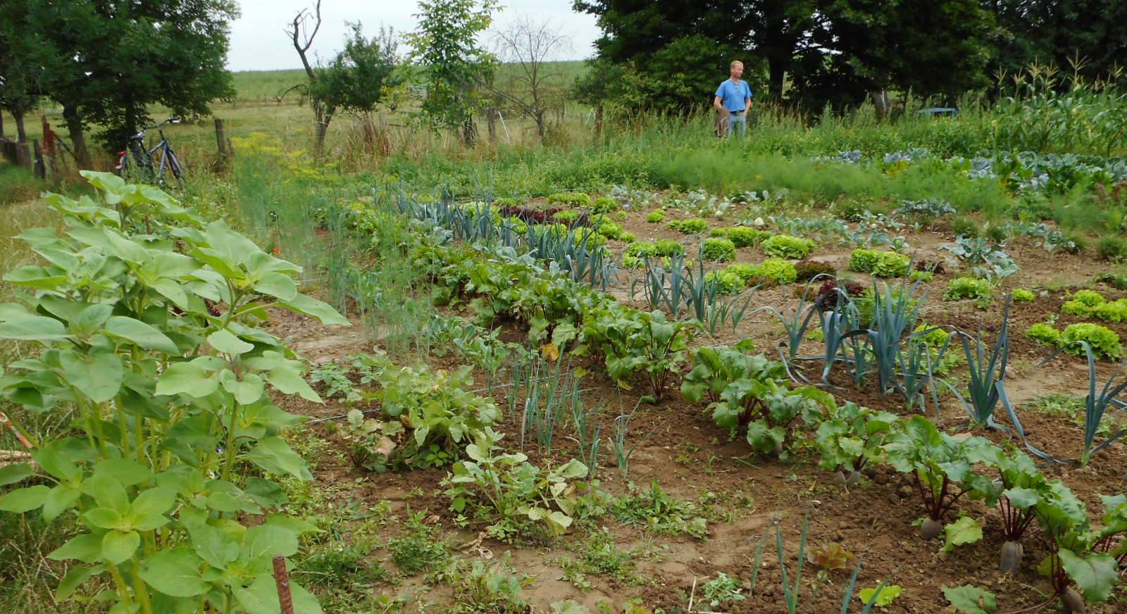 Von Mai bis Oktober kann eigenes