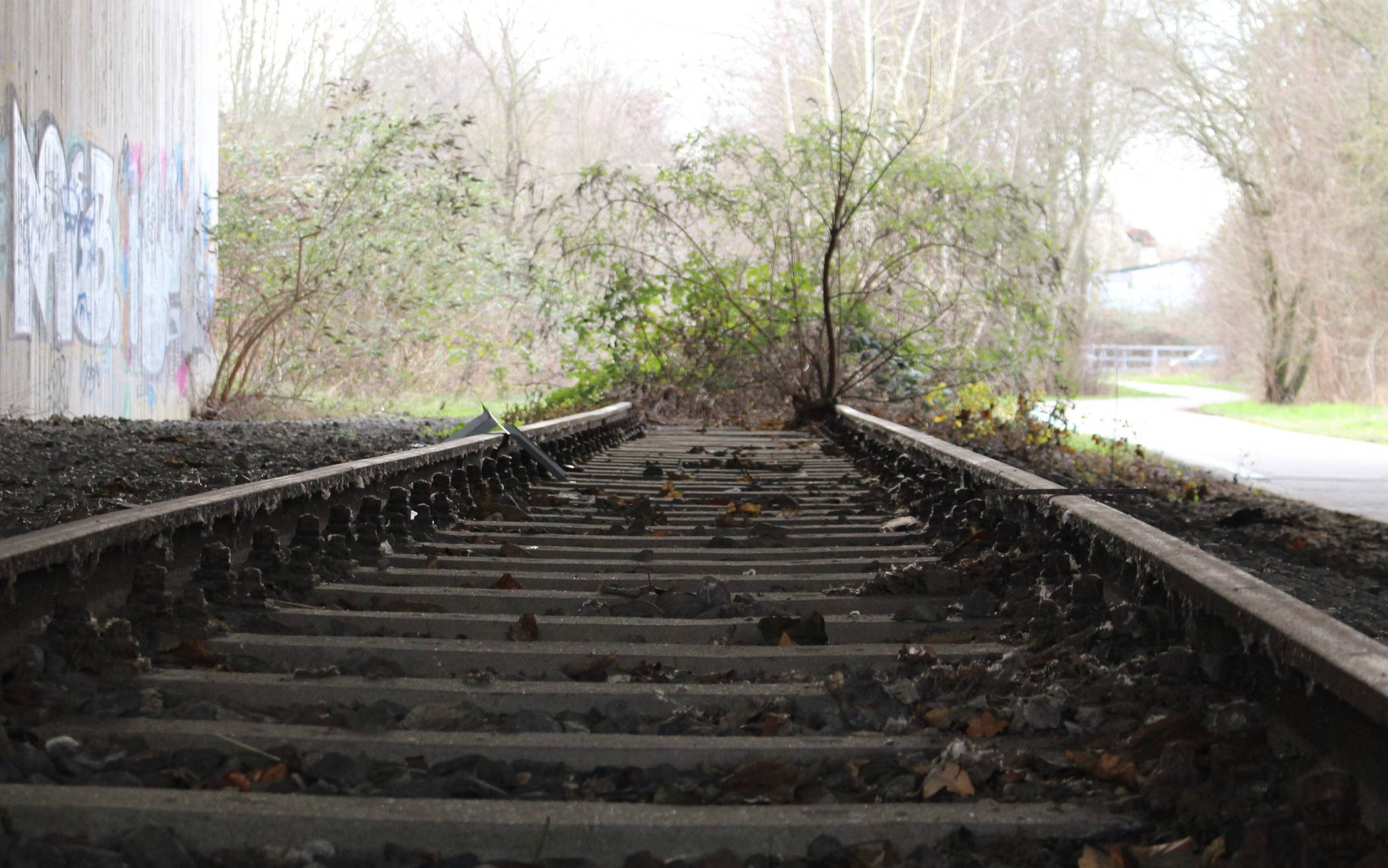 Umstrittene Trasse: Der Kreis Viersen und Mönchengladbach haben den Weg für eine Kombination aus Radweg und S28 geebnet. Derweil würde Umweltschützer am liebsten alles so lassen, wie es ist. 