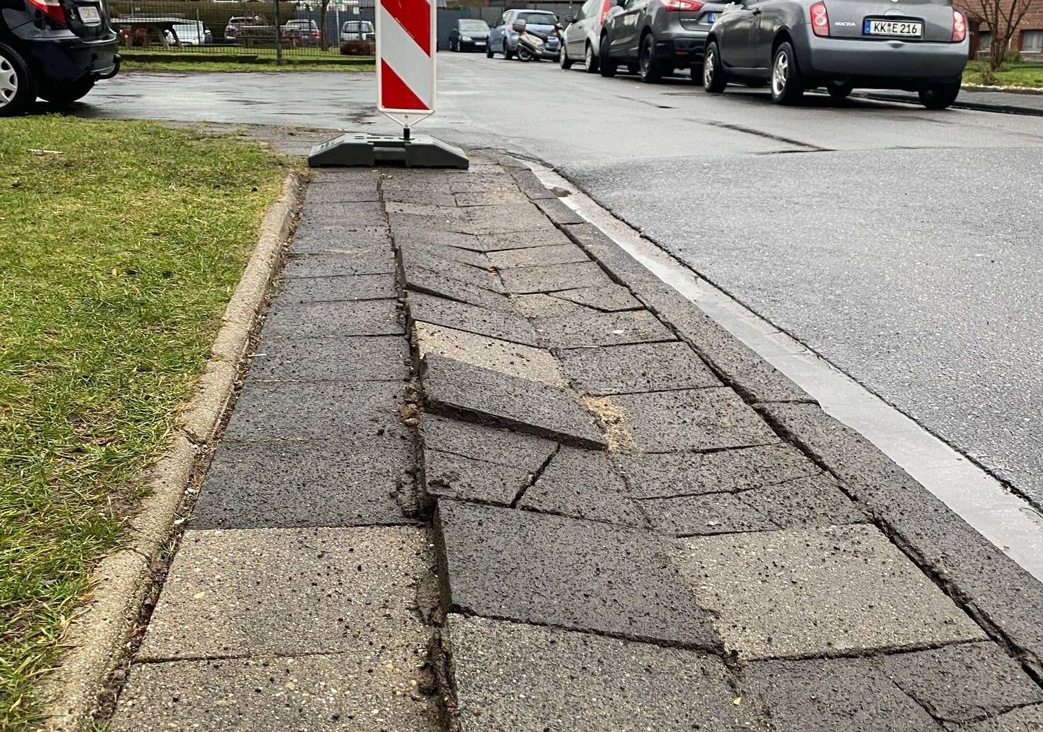  Nach dem kurzen Wintereinbruch werden jetzt Frostschäden sichtbar. 