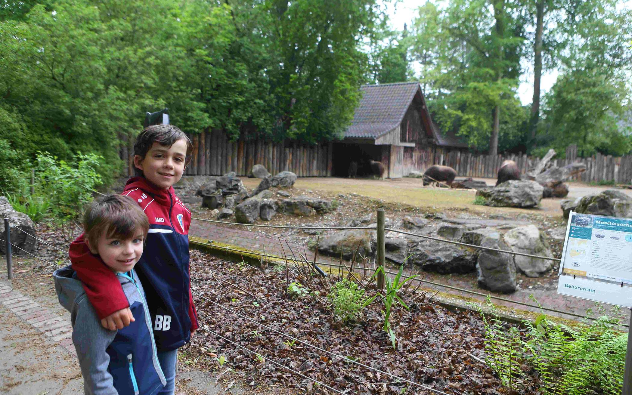 Zoo-Besuch ab Montag wieder möglich