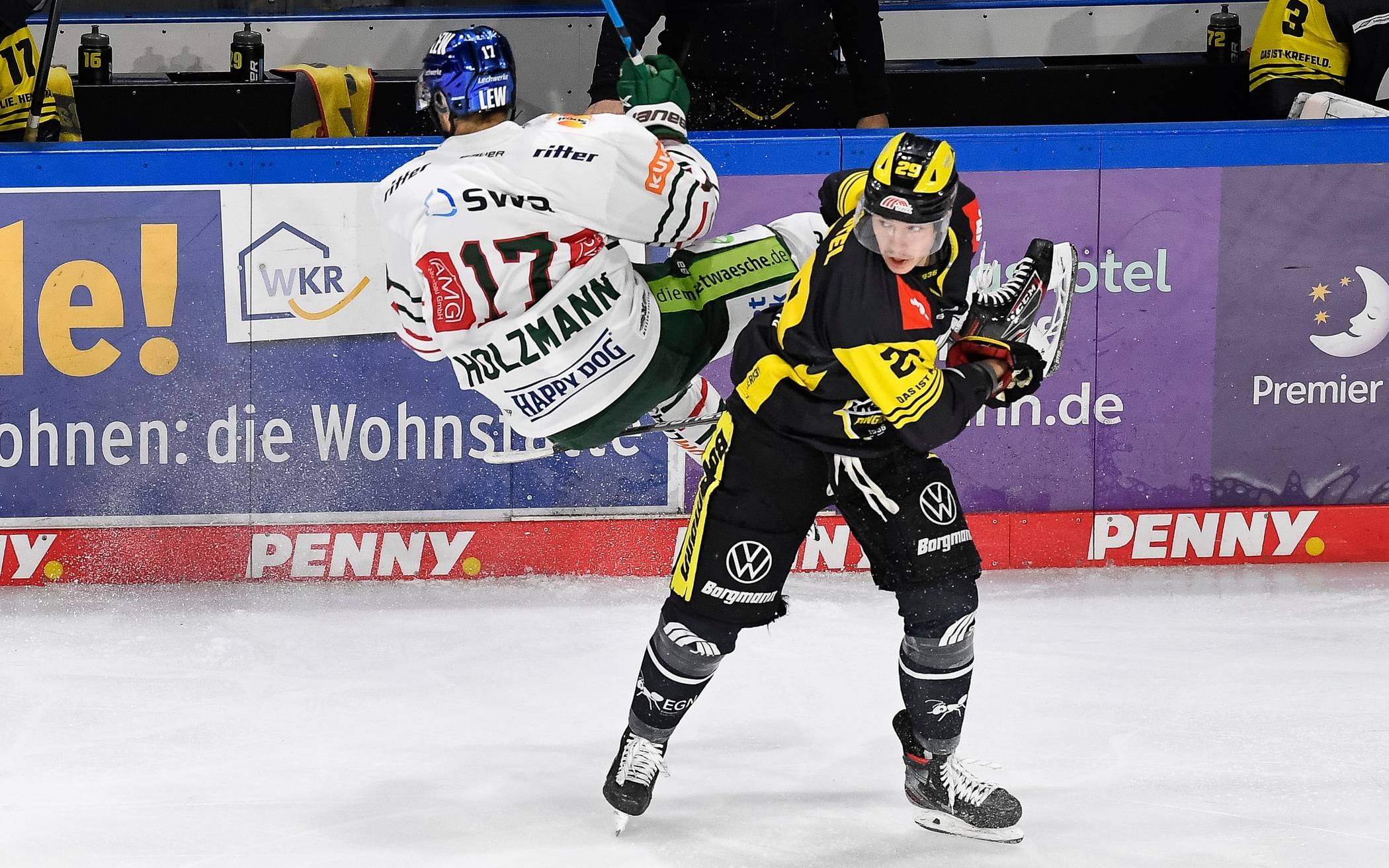 Pinguine unterliegen Panthern