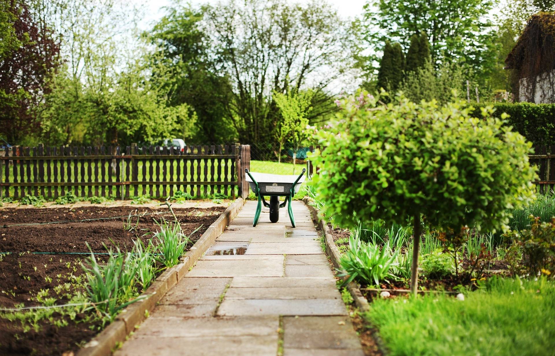 Die CDU Willich macht sich für