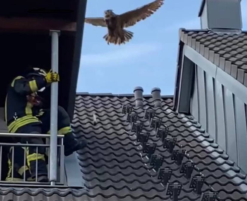  Tier in Notlage - auch in diesem speziellen Fall musste die Feuerwehr Willich ausrücken.  