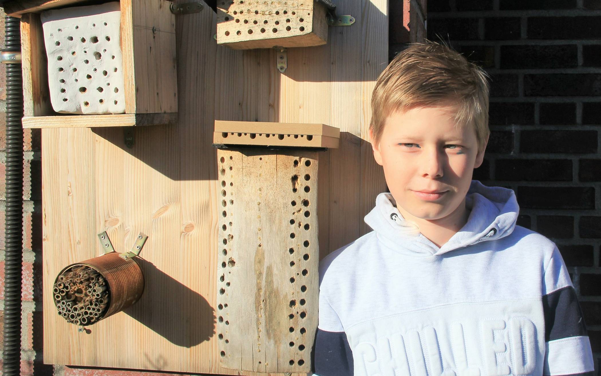 Jan Altenburgs Projekt „Wildbienennisthilfen“ hat ihm beim Landeswettbewerb „Schüler experimentieren“ gleich zwei Auszeichnungen eingebracht.  