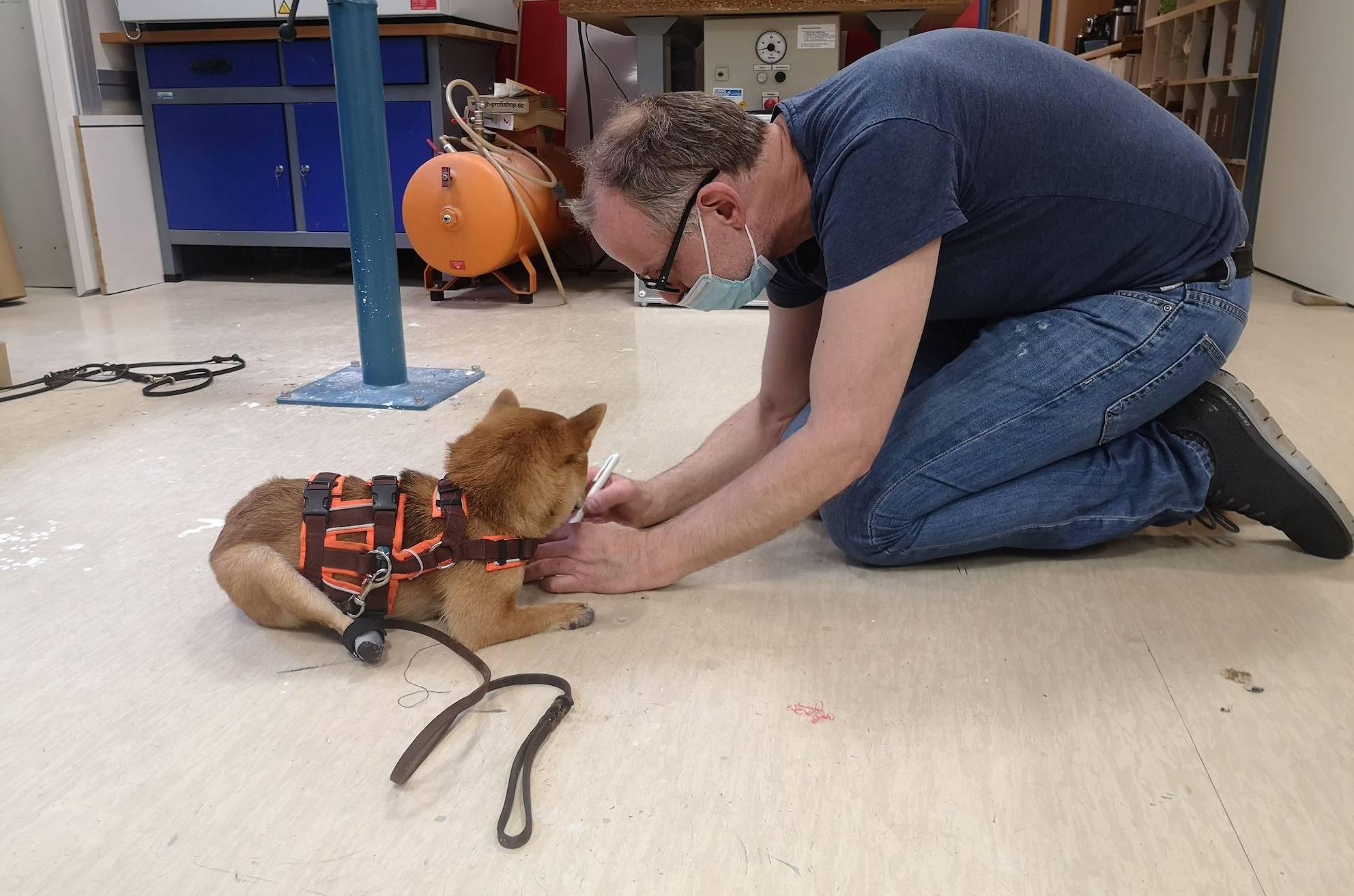 Yumi beim Anprobieren der Prothesen.&#x21e5;Foto: Tierherberge