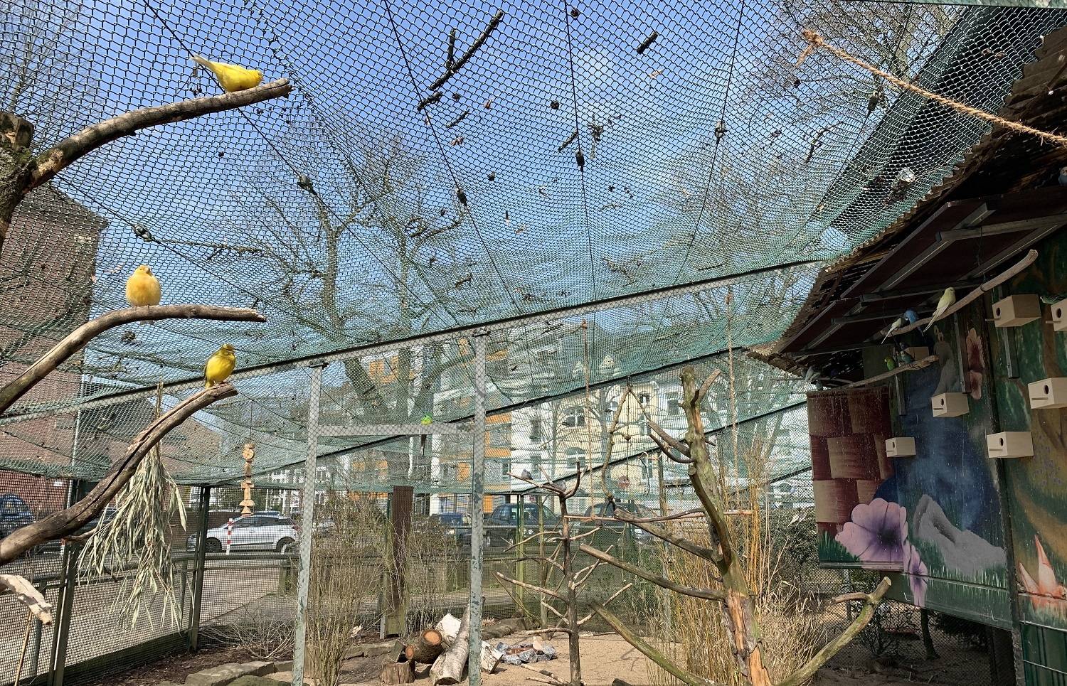 mags-Vogel-Voliere_Bunter-Garten_2