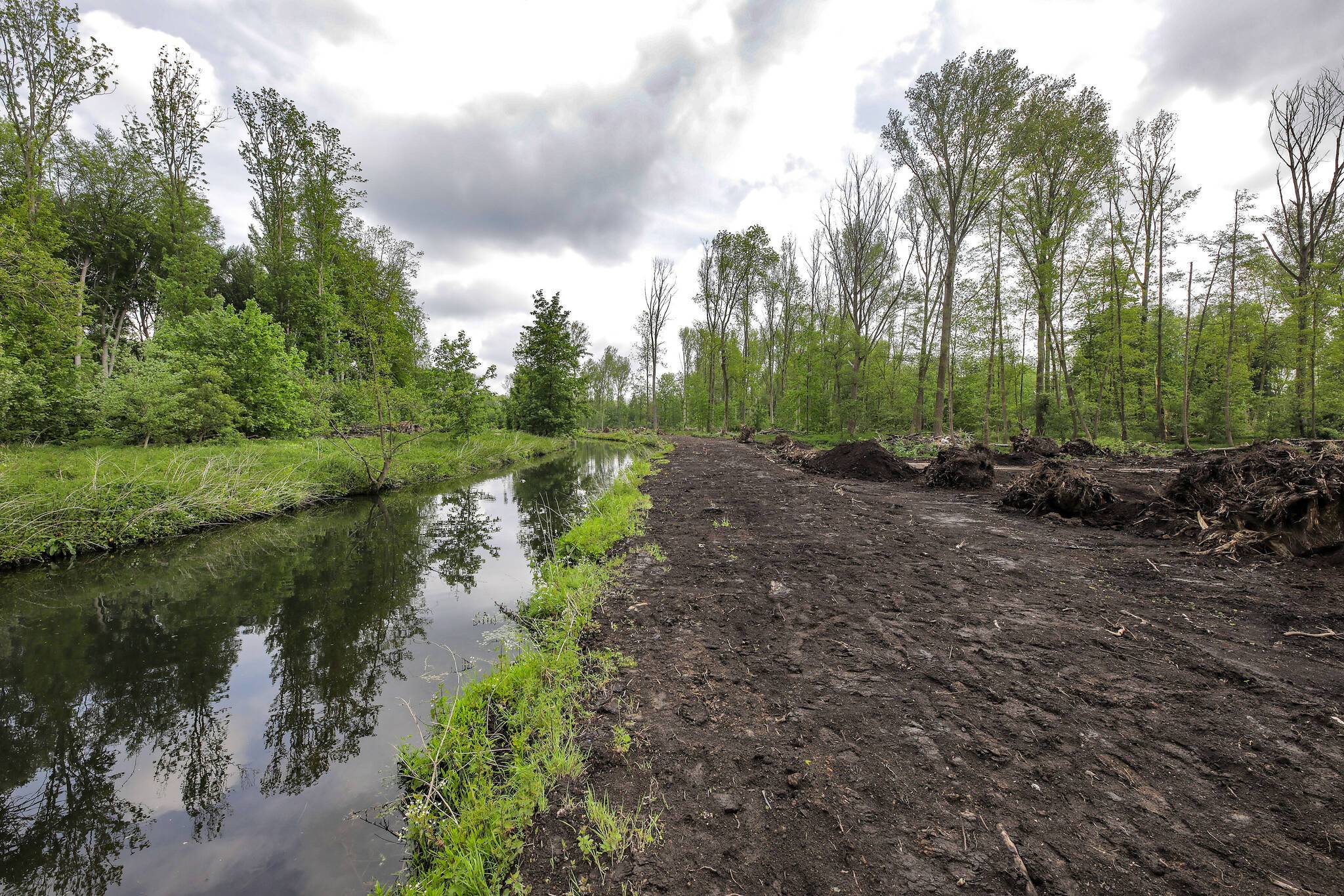  Das Starkregenereignis am letzten Freitag hat nicht nur zu Überschwemmungen, sondern auch zu einem Fischsterben in der Niers geführt. 
  