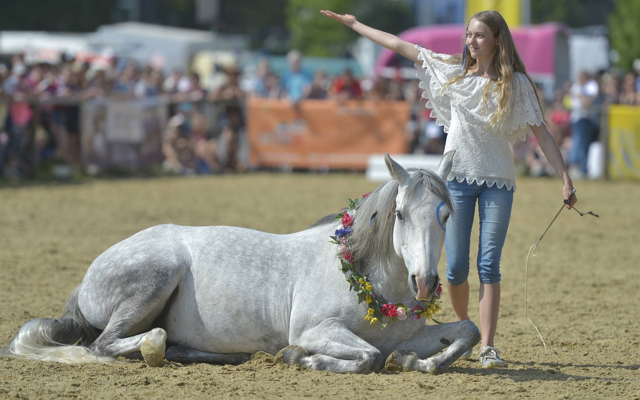 Festival der Pferde in Neuss