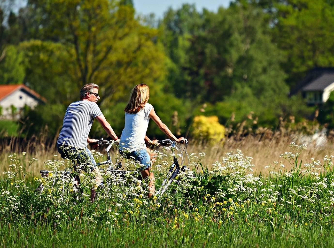 Im Vergleich zu Autofahrten über diese