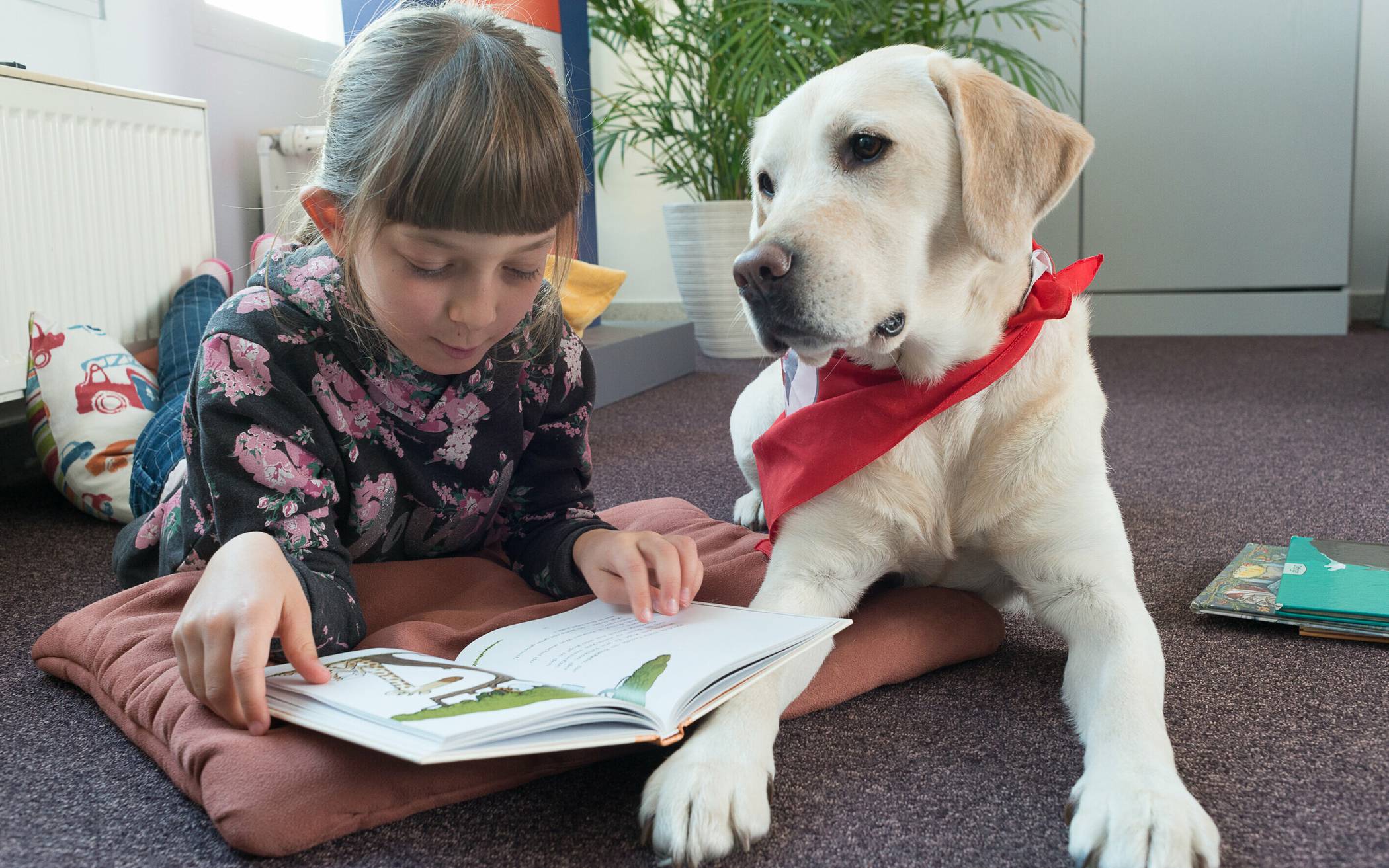 Lesehunde haben eine beruhigende Wirkung auf