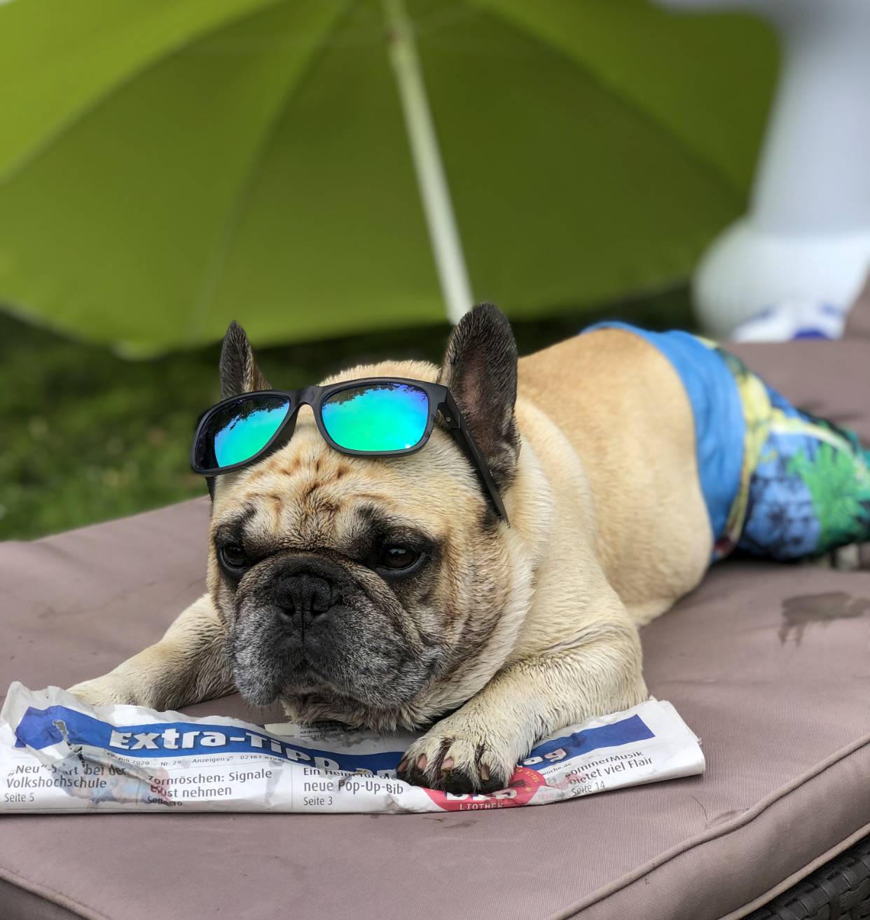 Jedes Jahr wieder haben die Gladbacher