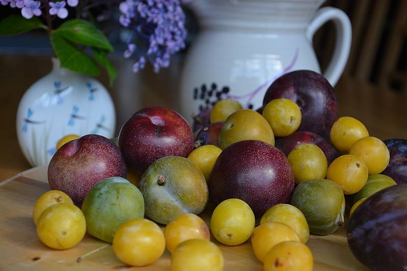 Zeit für Pflaumenkuchen!