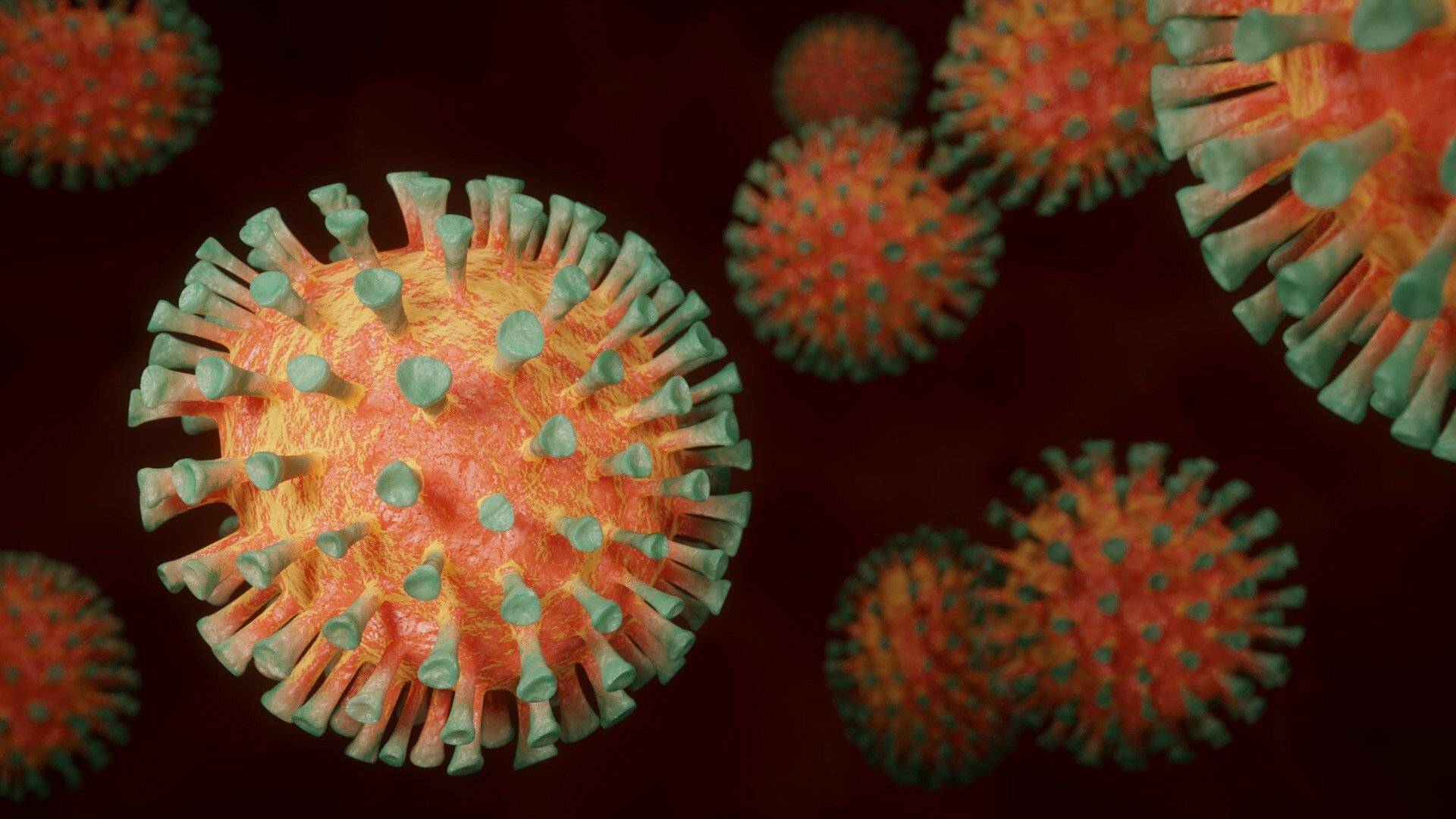  Coronavirus. 