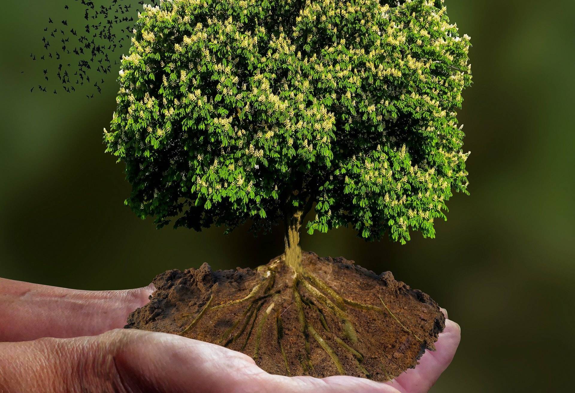 Die Klimakrise ist Thema einer Klimaschutz-Aktionswoche