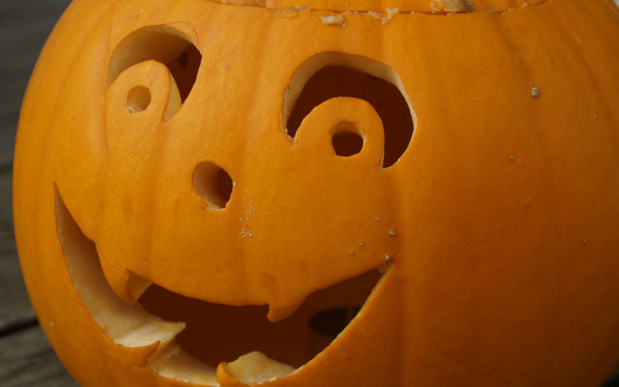 Extra-Tipp und Gartencenter Lenders laden alle Kinder bis zwölf Jahren wieder zur großen Kürbisschnitzaktion ein.  