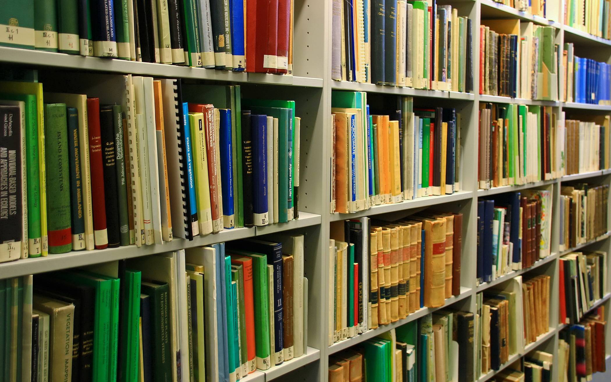 In den Willicher Büchereien gibt es am kommenden Sonntag eine ganze Menge Aktionen. 