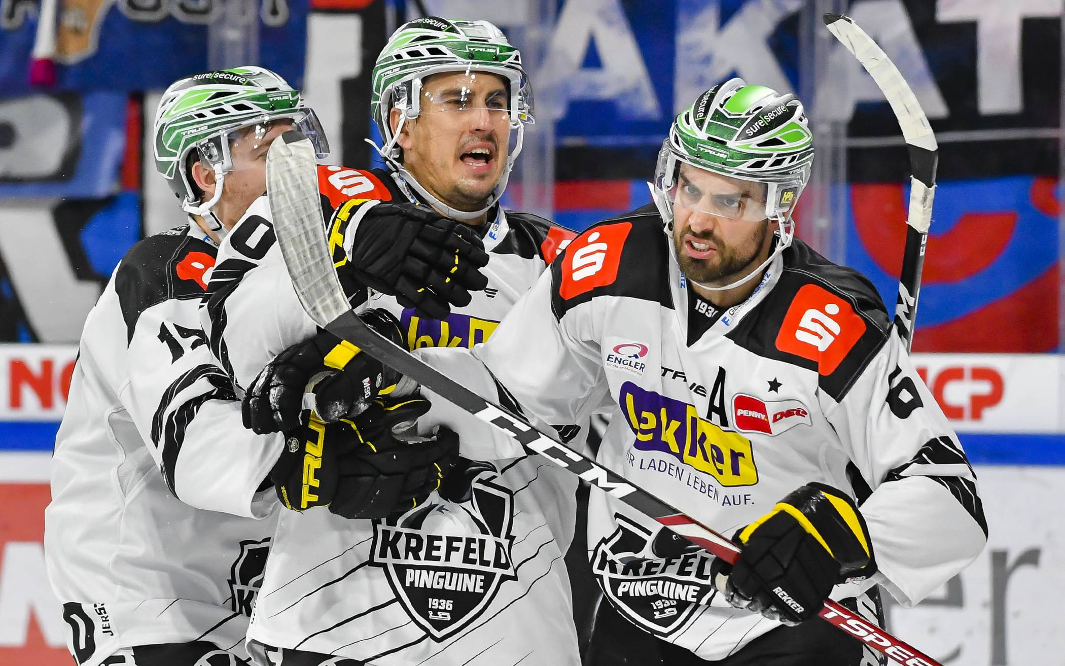 Pinguine zähmen Nürnbergs Tiger