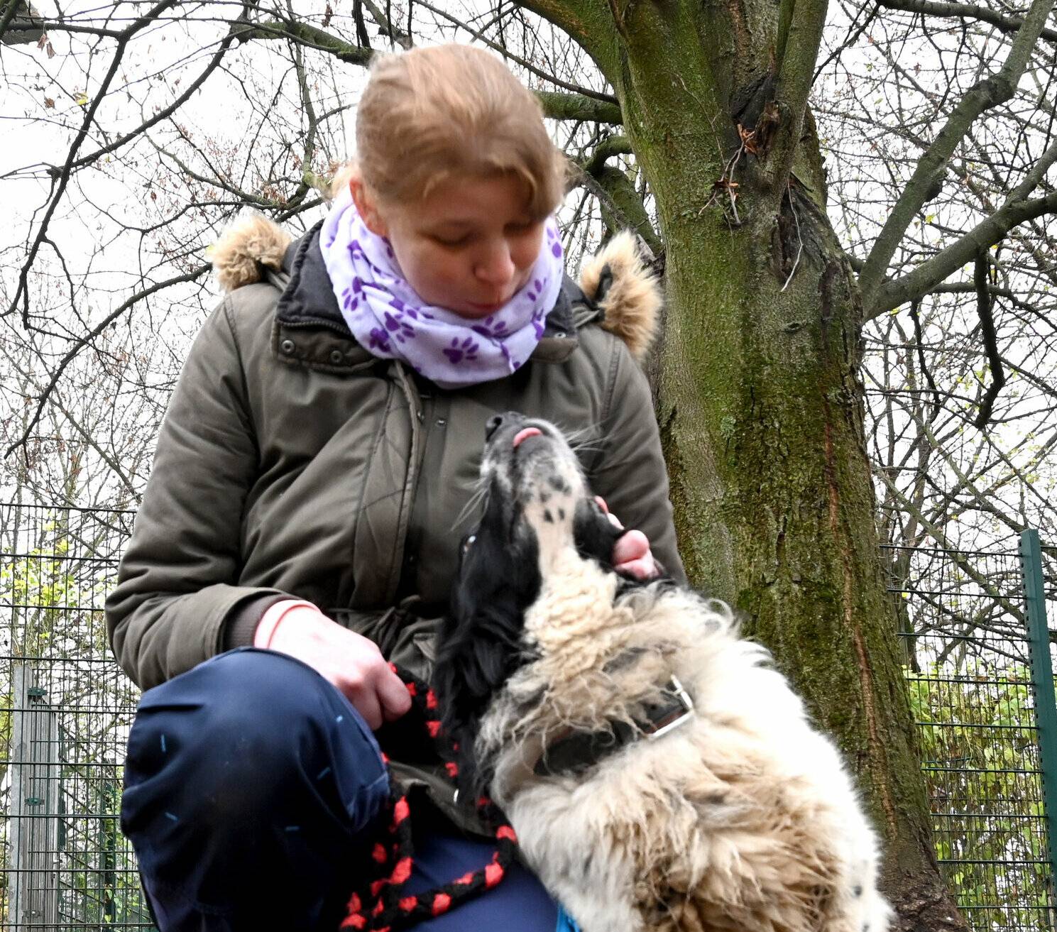 Kein Quarantäne-Hund (die dürfen nicht für ein Foto raus), aber einer, dem Menschen auch übel mitgespielt haben, ist der wuschelige Flocki. Jasmin Pulver wünscht sich für ihn ein erfahrenes Herrchen/Frauchen, das sein Vertrauen gewinnt. 