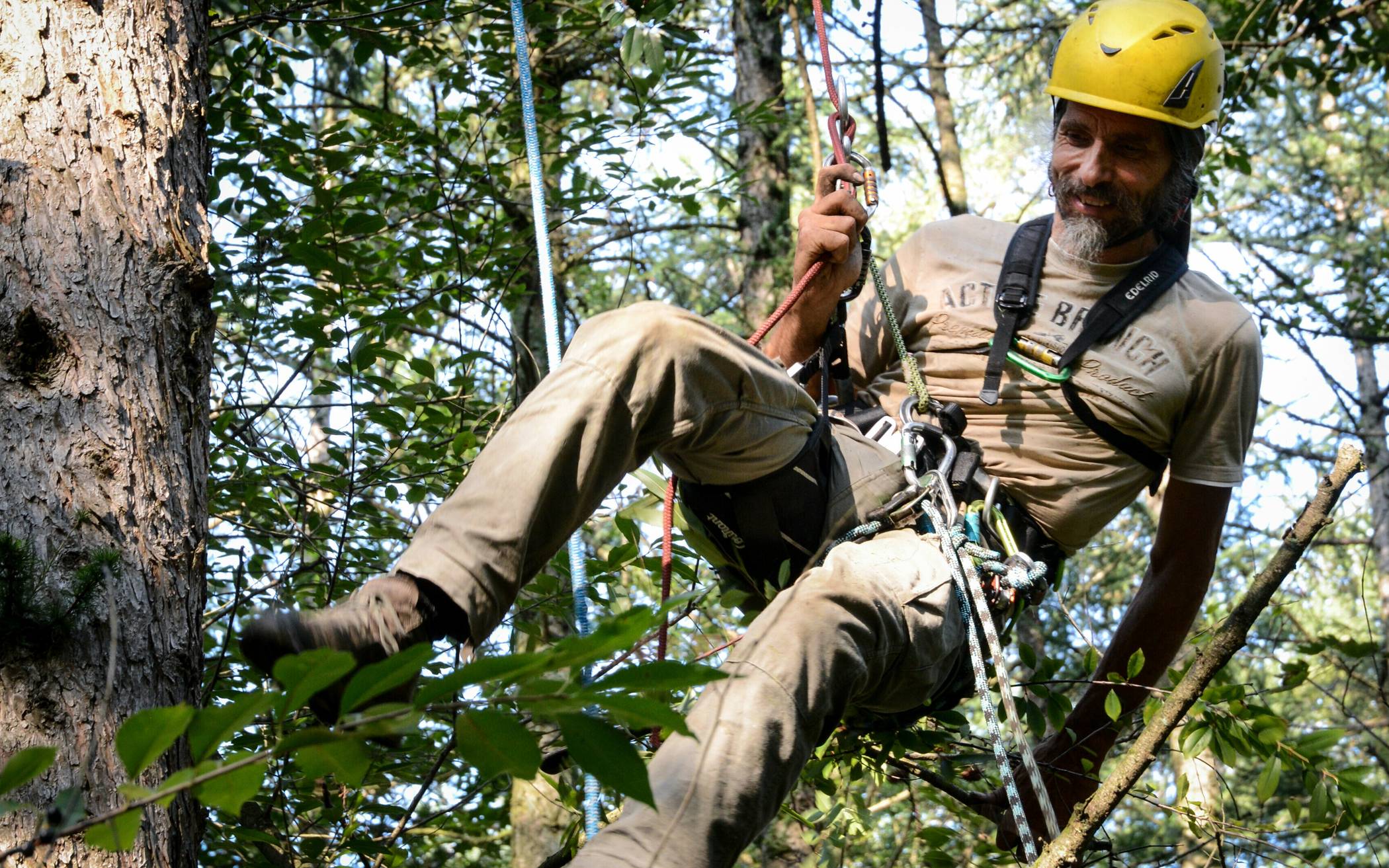  Was wie eine neue Trendsportart anmutet, ist Grundlage für den Waldbau: Baumkletterer bei der Saatguternte. 