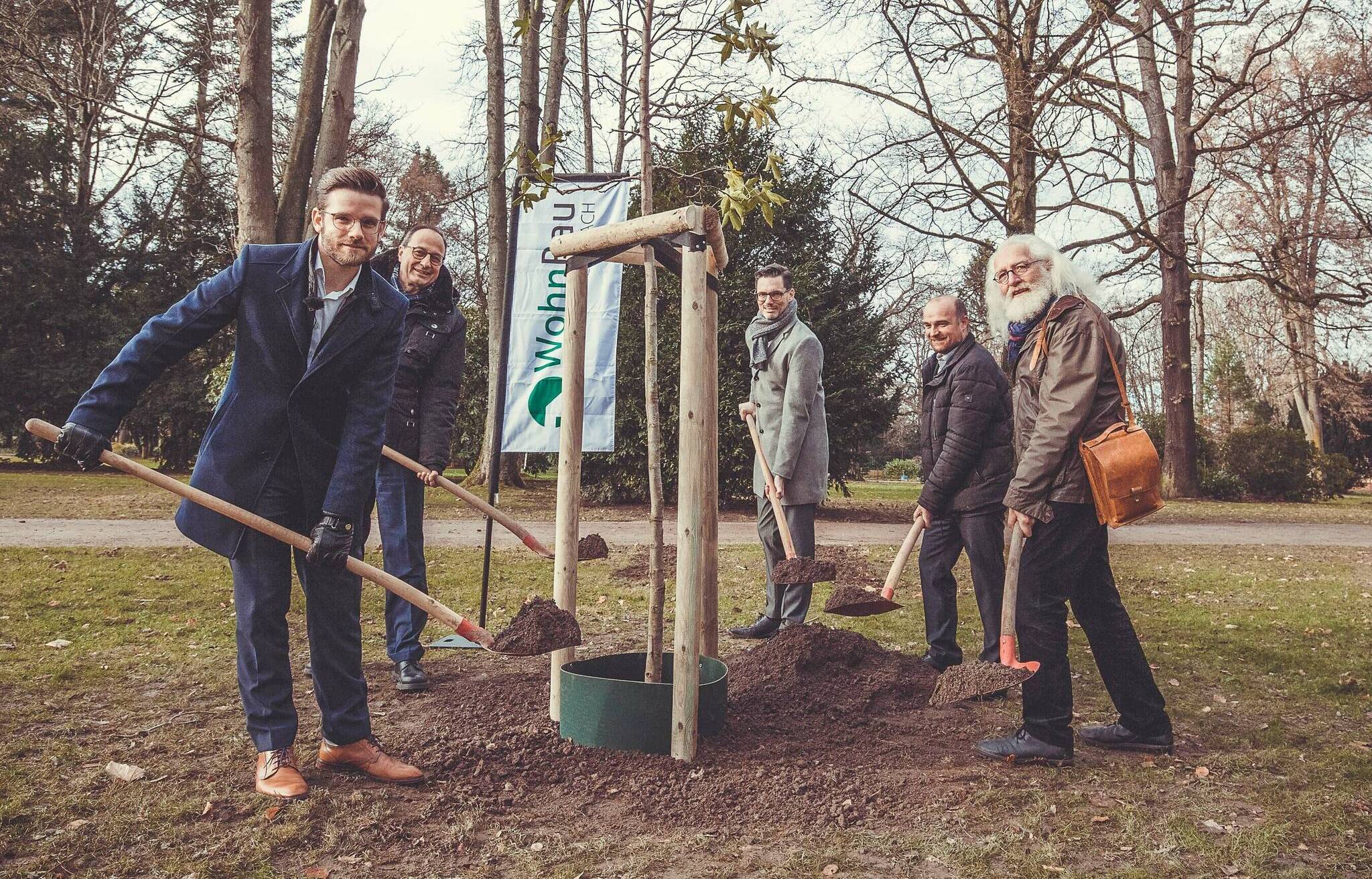 Baumspende schmoelder