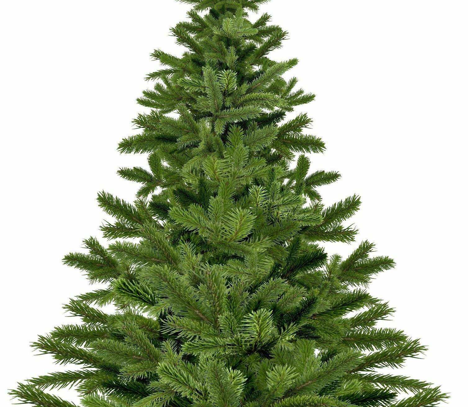  Die Schiefbahner Pfadfinder bieten wieder an, die von Baumschmuck und Lametta befreiten Weihnachtsbäume einzusammeln. Foto: maciej326 