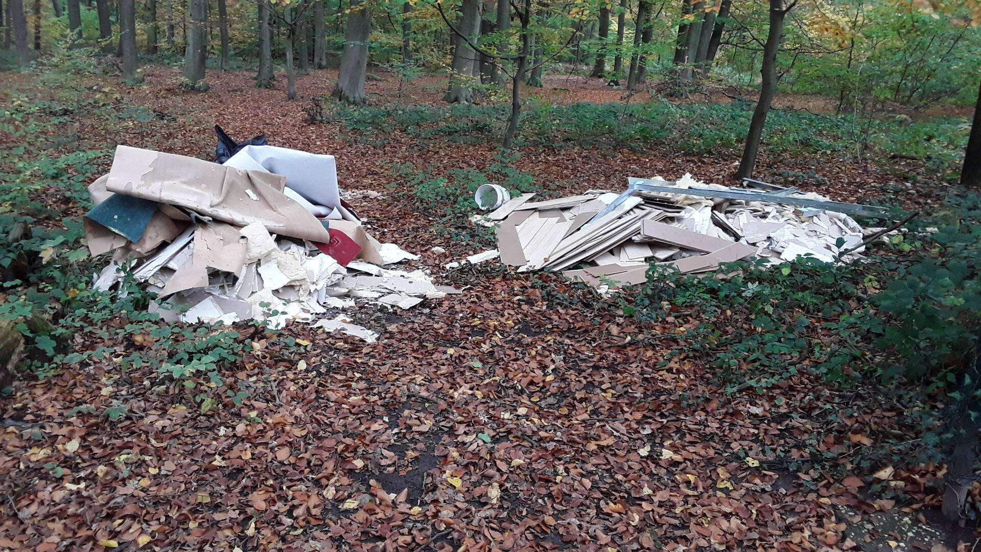  Diese Renovierungsabfälle fanden die Mülldetektive im Landschaftschutzgebiet Hoppbruch. 