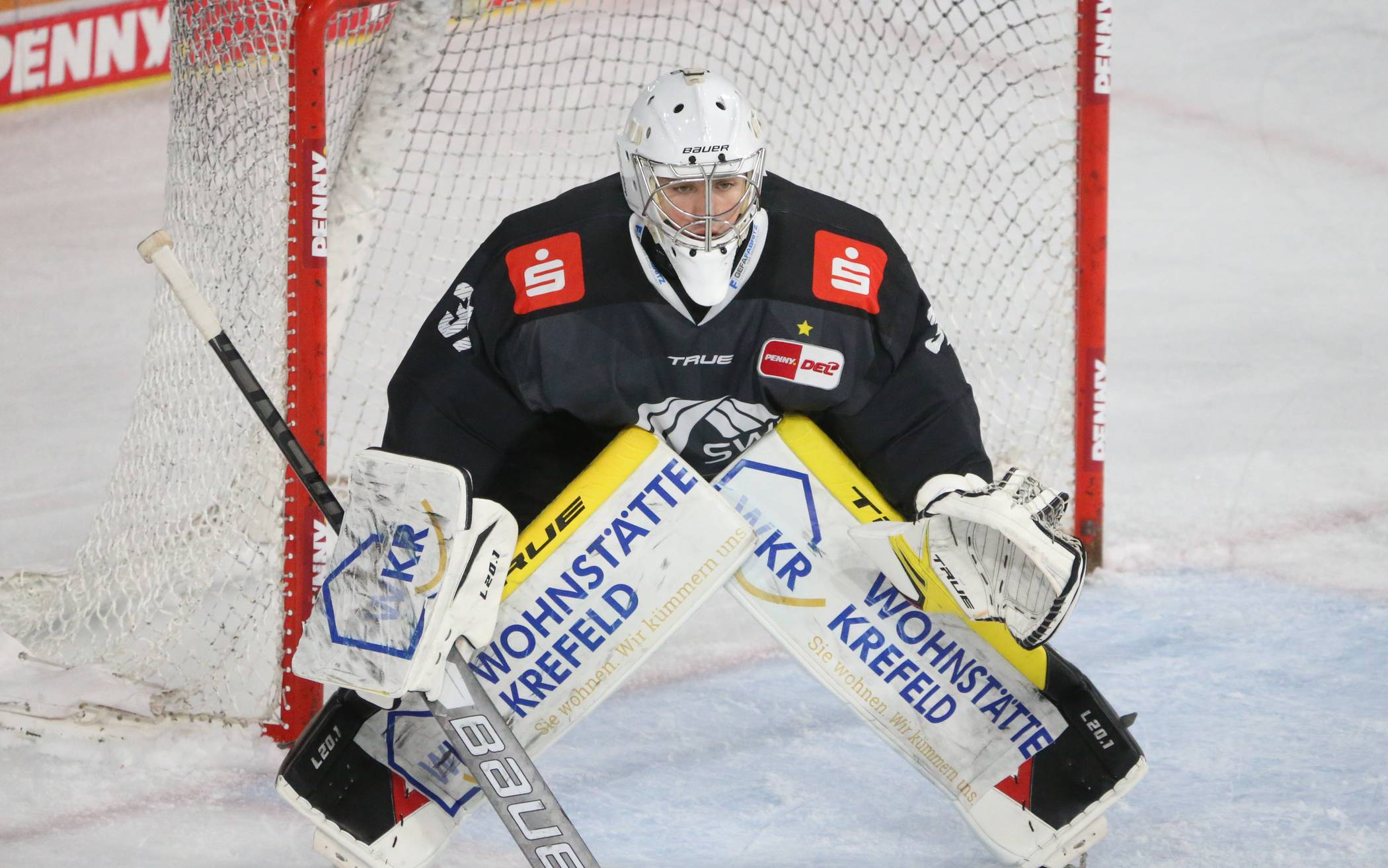 Nikita Quapp kehrt zu Pinguinen zurück