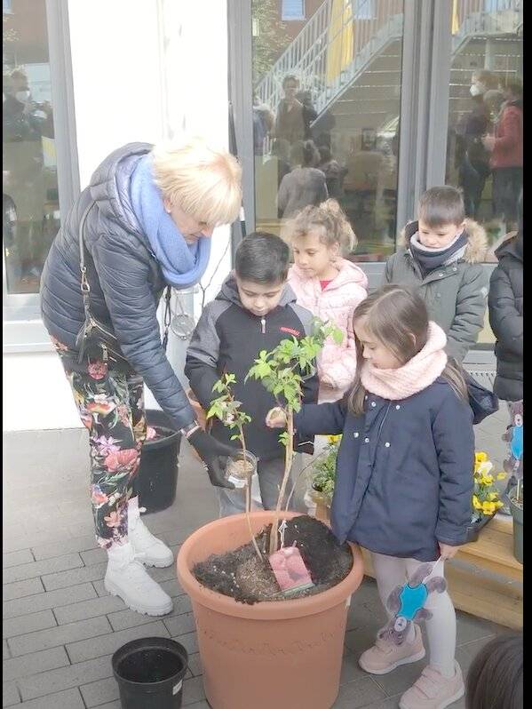  Vera Jentjens zeigte den Kita-Kindern, worauf es beim Pflanzen ankommt. 