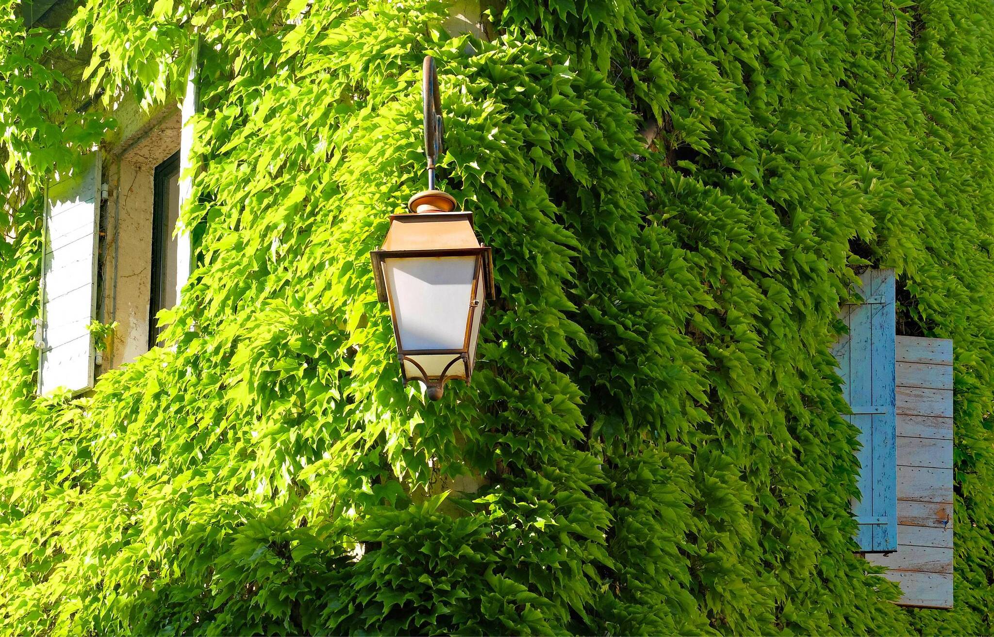 Wer seine Fassade oder sein Dach