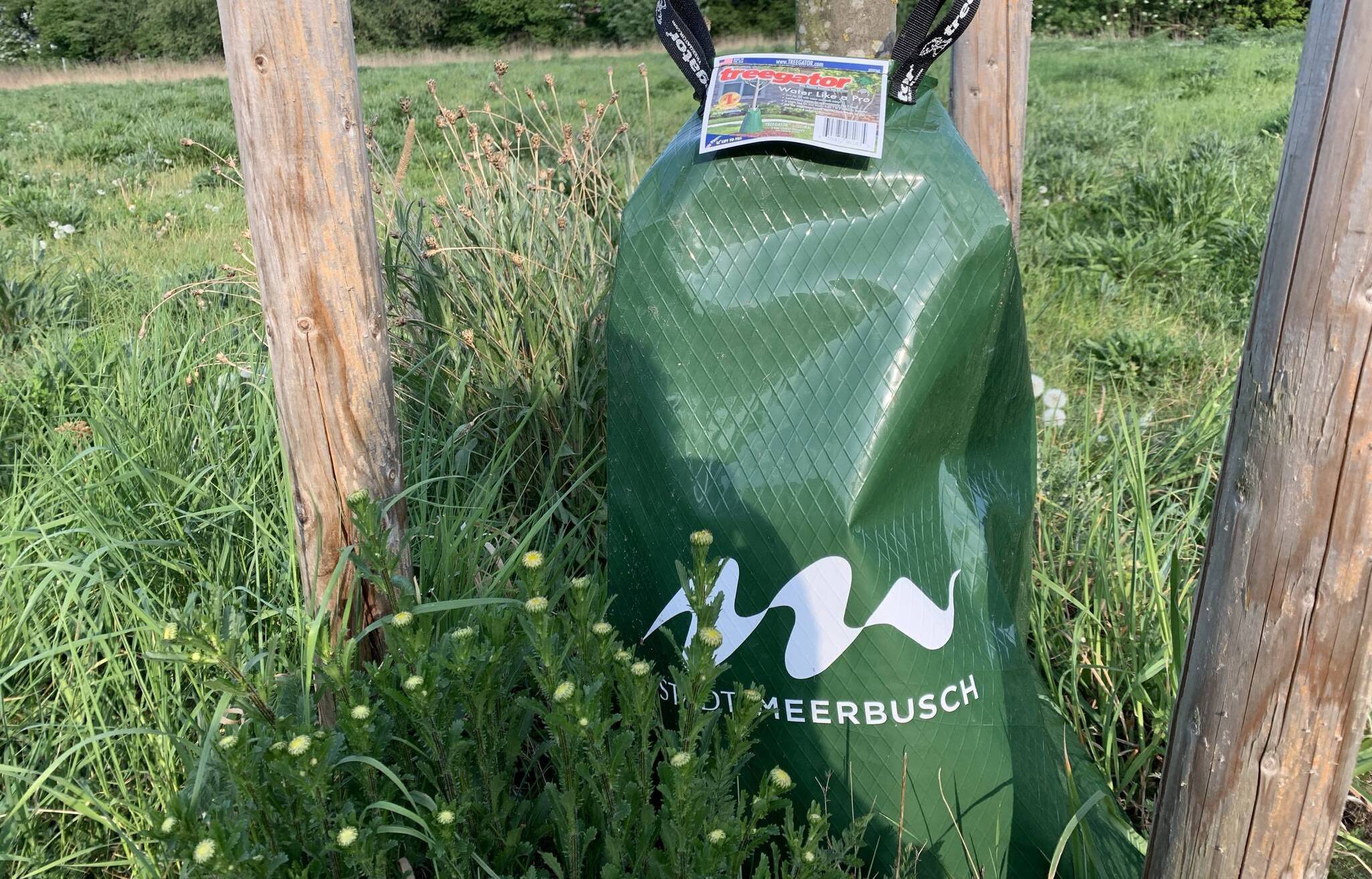 Die Bewässerungssäcke für Straßenbäume sind in