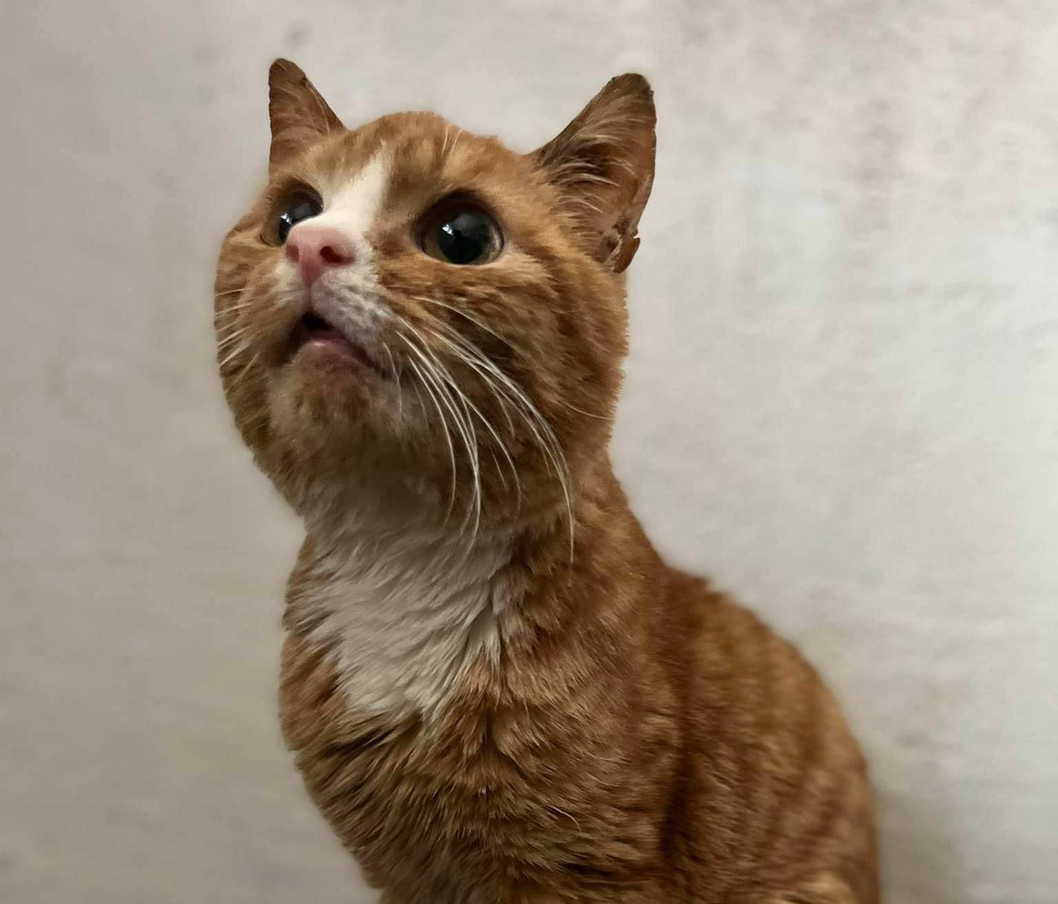 Viele Tierfreunde haben nach unserem Artikel