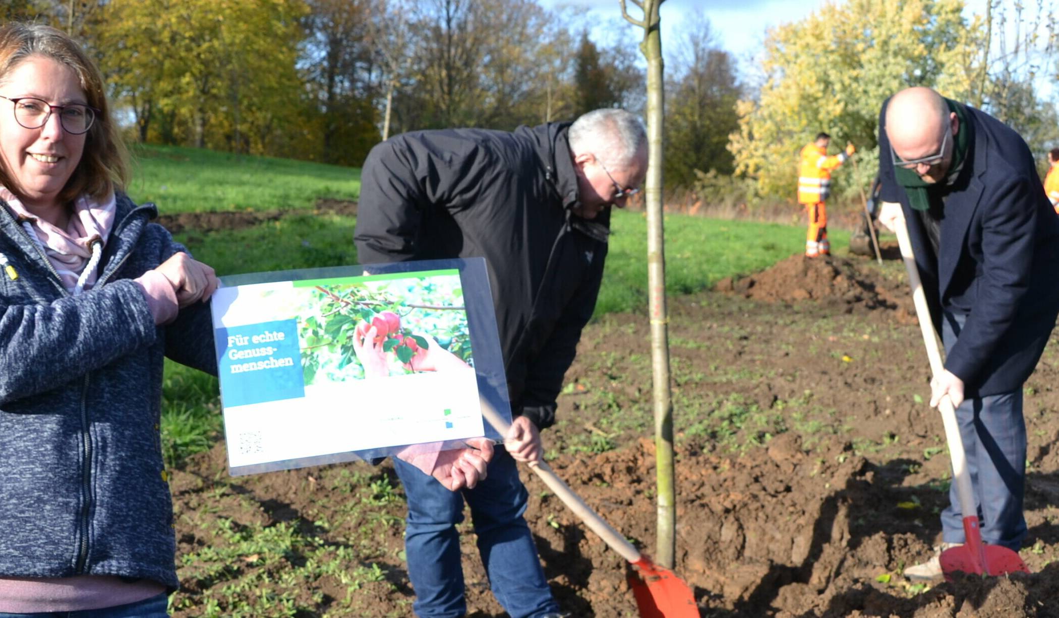 Reinhold Adrian, Geschäftsbereichsleiter Grünflächen bei den