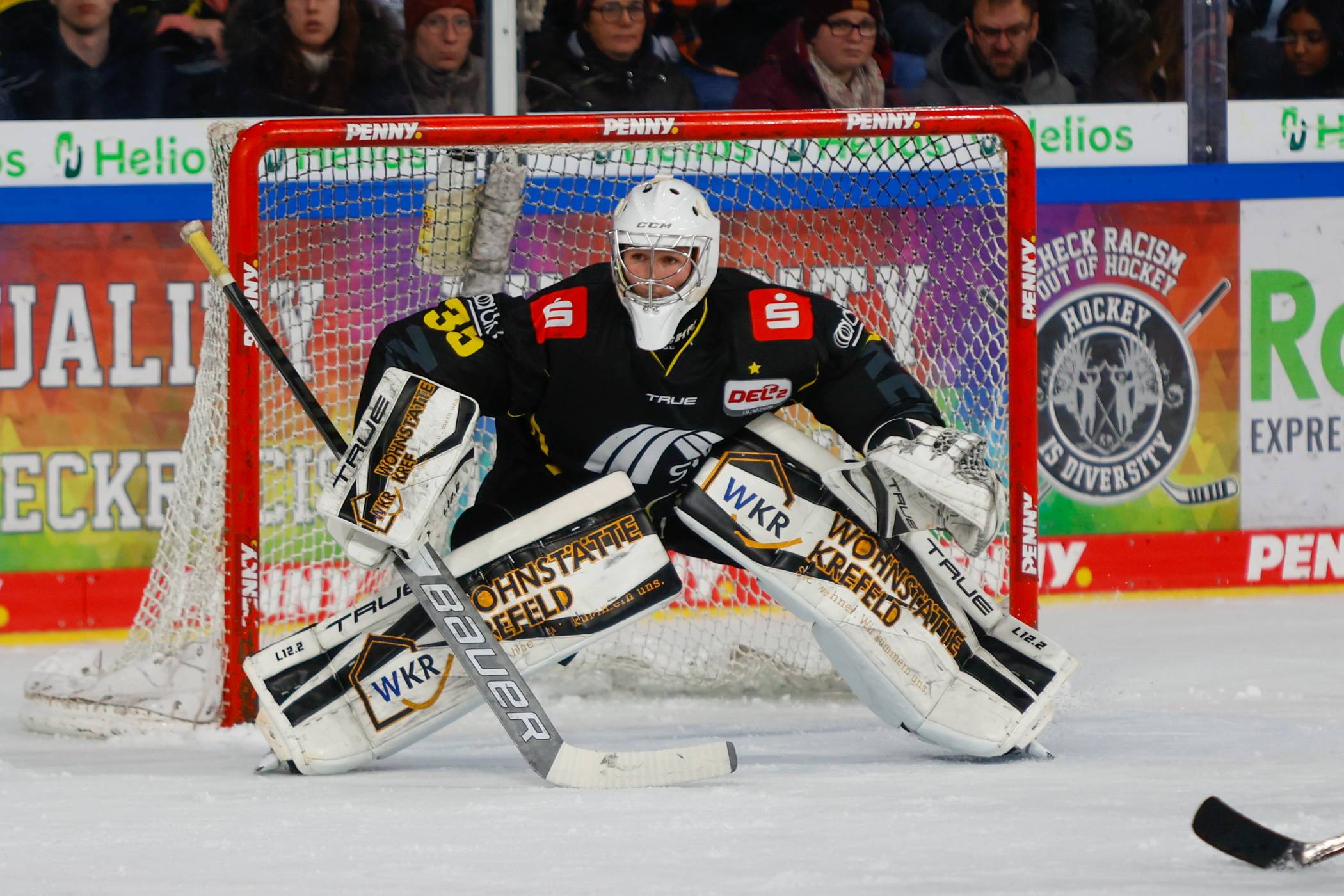 Vertrag bis 2026: Matthias Bittner bleibt ein Pinguin