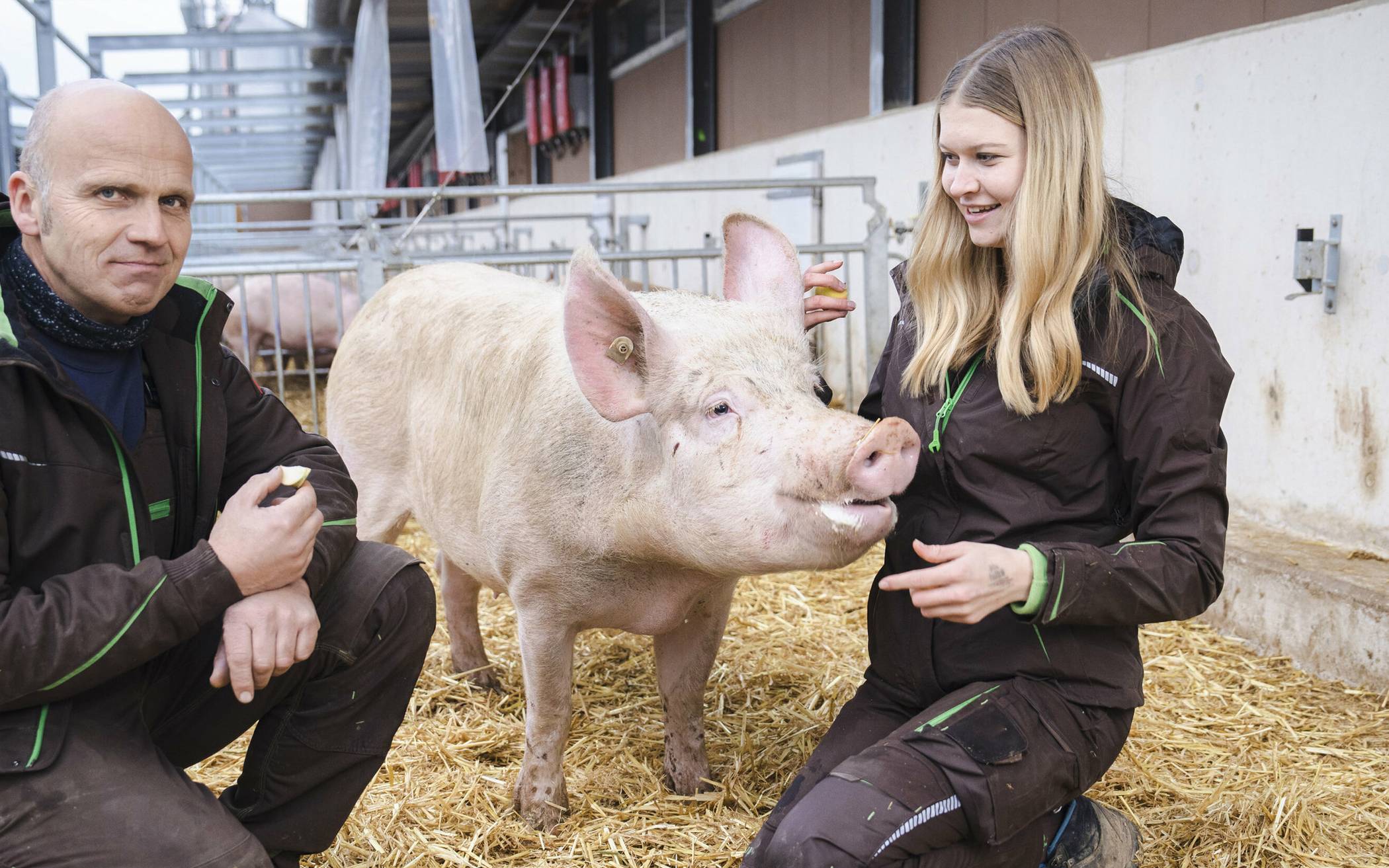 Die Schweine von Norbert Dyckers haben
