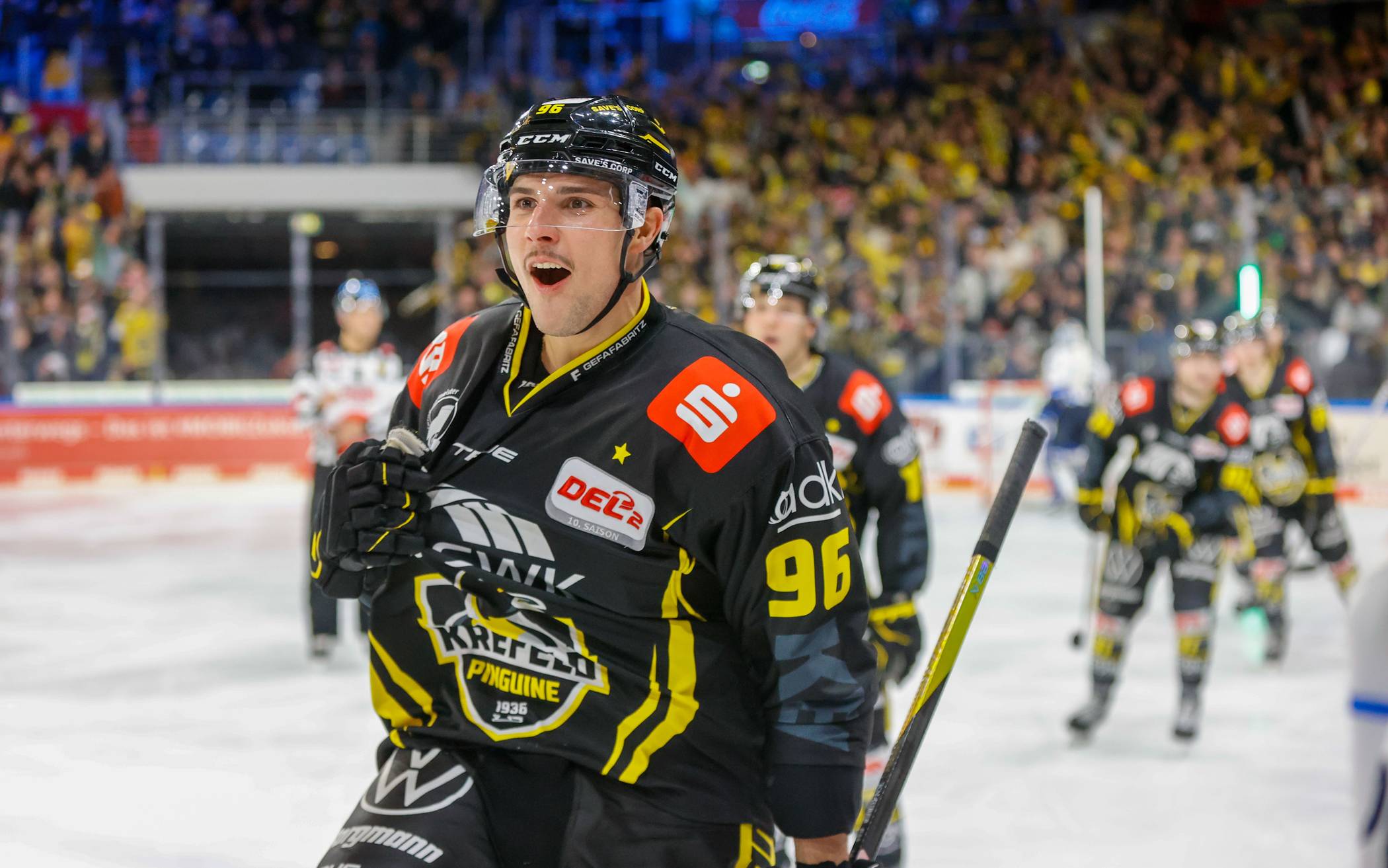 Krefeld Pinguine holen sich das Heimrecht!