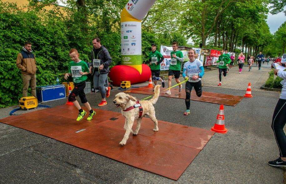 Dieser Teilnehmer ging ohne Zeitmessung, aber
