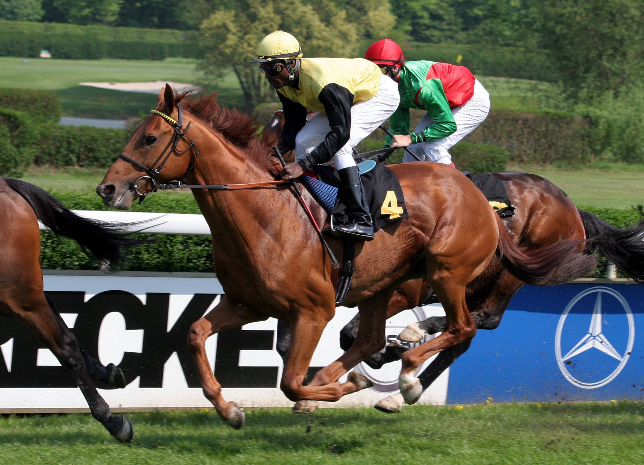 Galopp-Auftakt im Stadtwald
