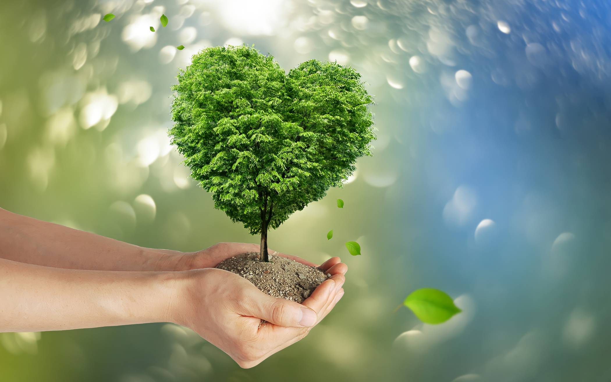 Die 1. Klimaschutzmesse Wegberg lädt am