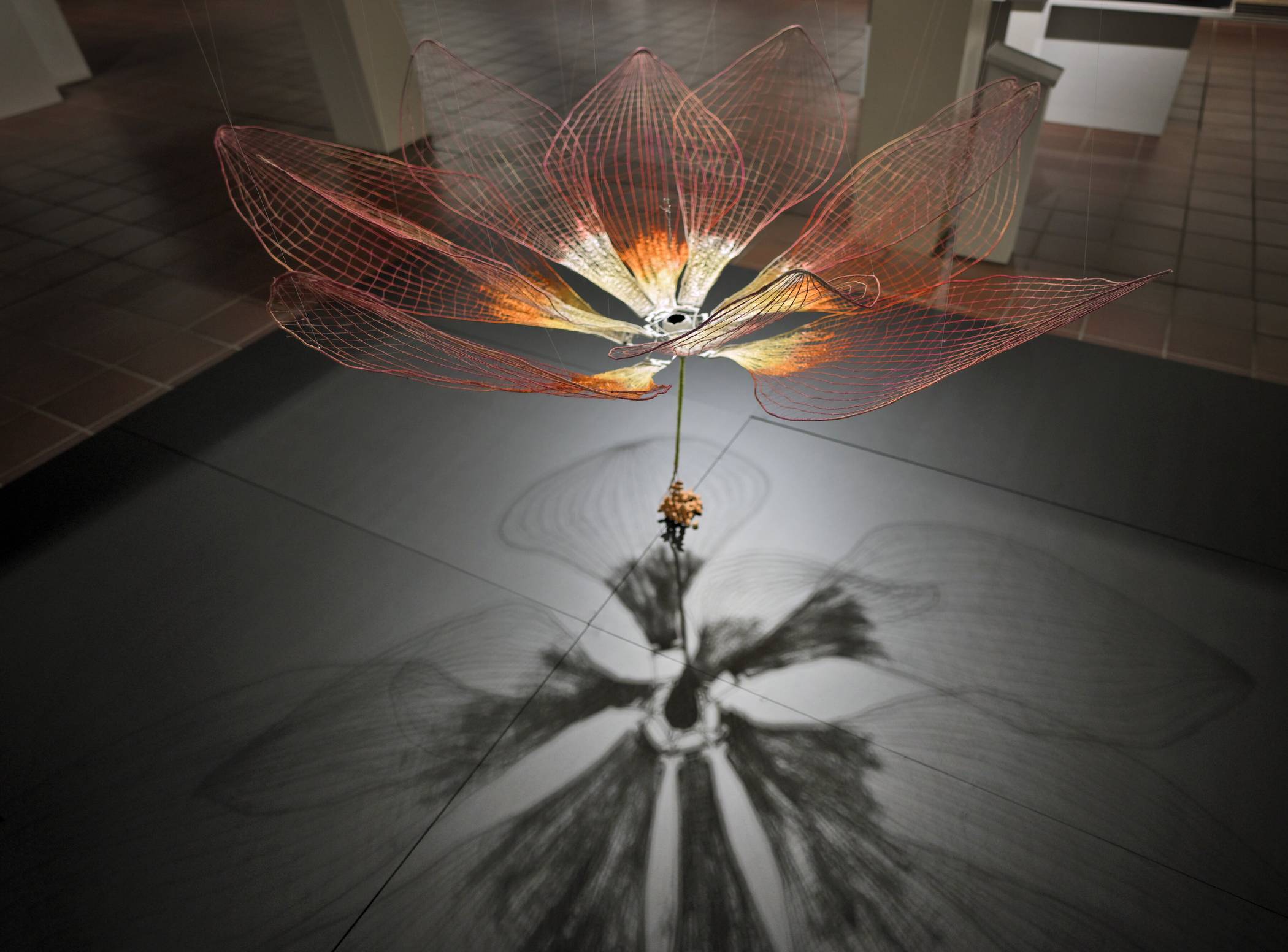 Wunderwerke wie aus einer anderen Welt