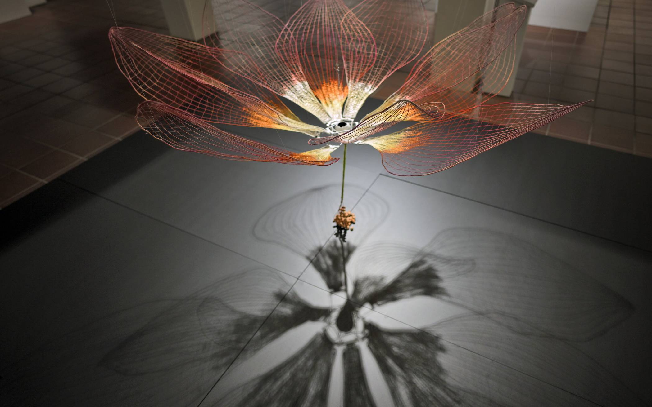 Wunderwerke aus Fasern 