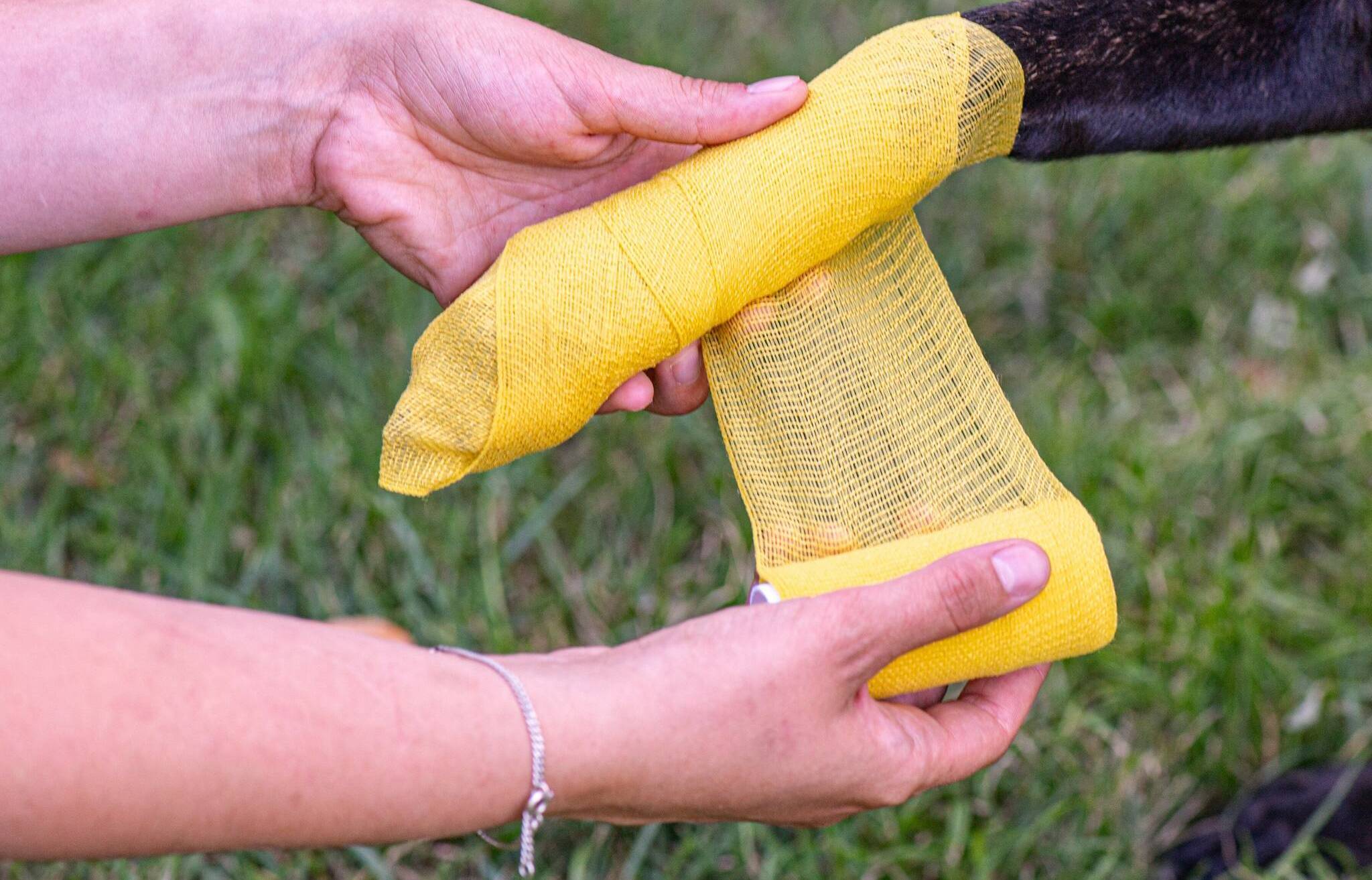 Neben den theoretischen Grundlagen darf die