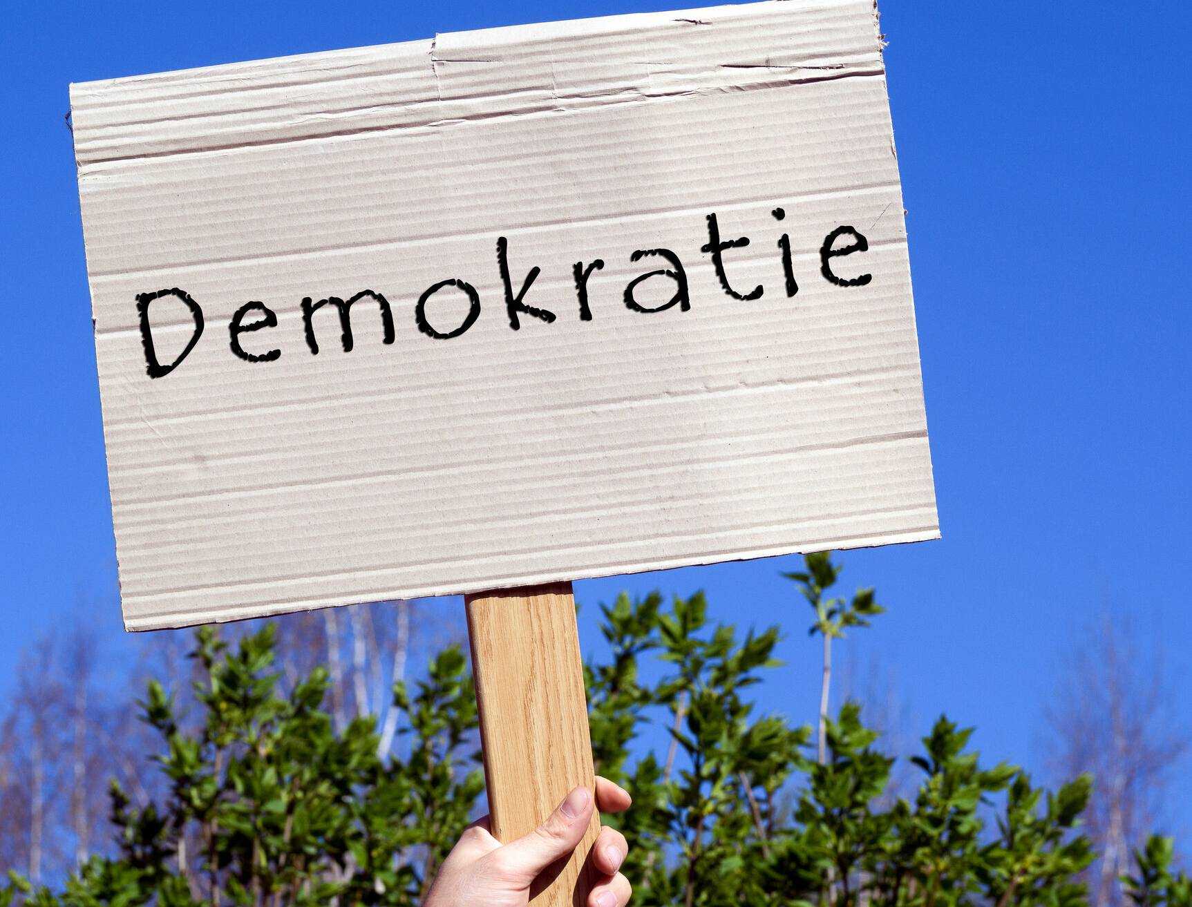   Die Demokratie steht auf dem Prüfstand. 