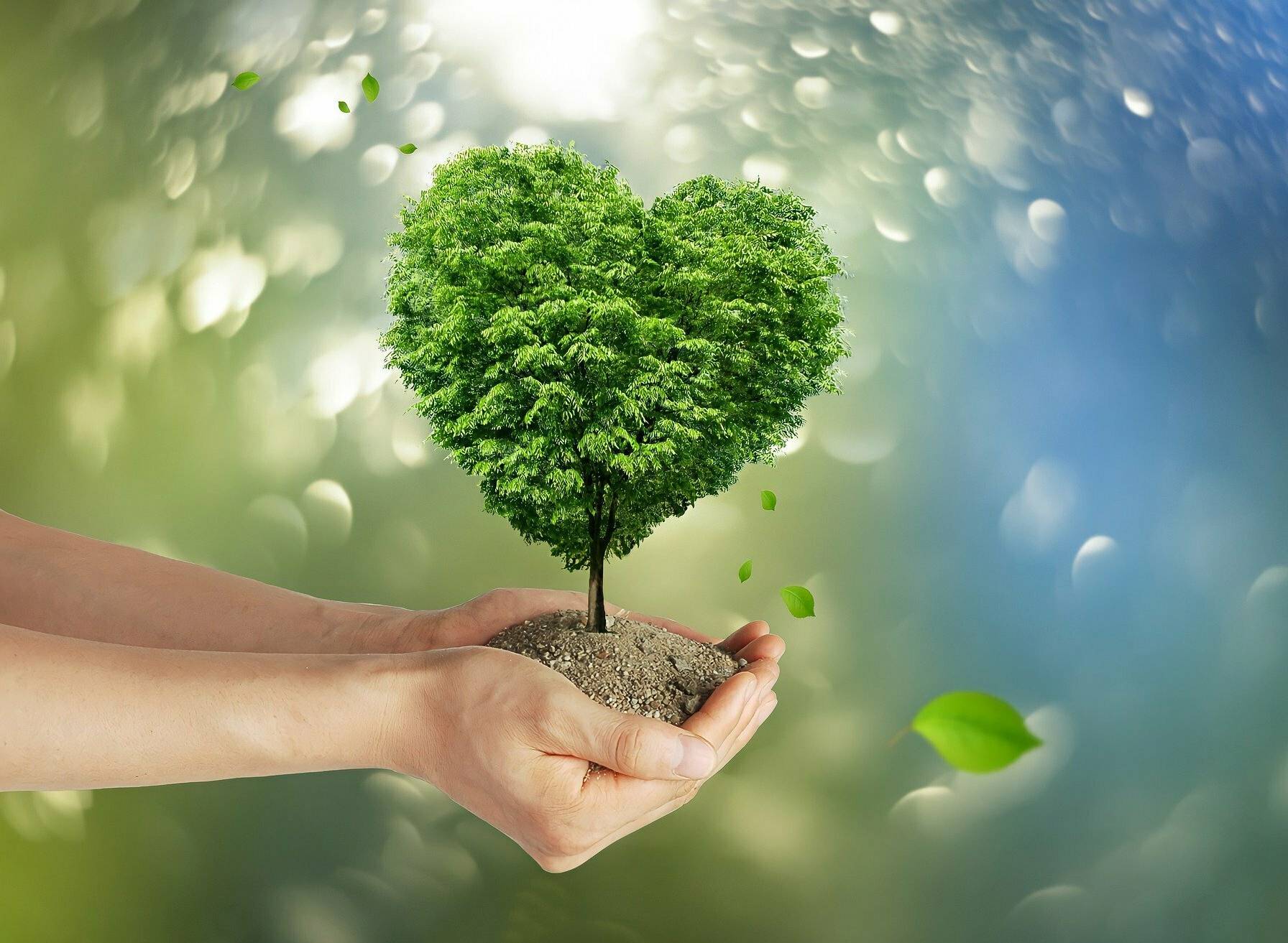 Die Aktionstage sollen Aufmerksamkeit wecken. 