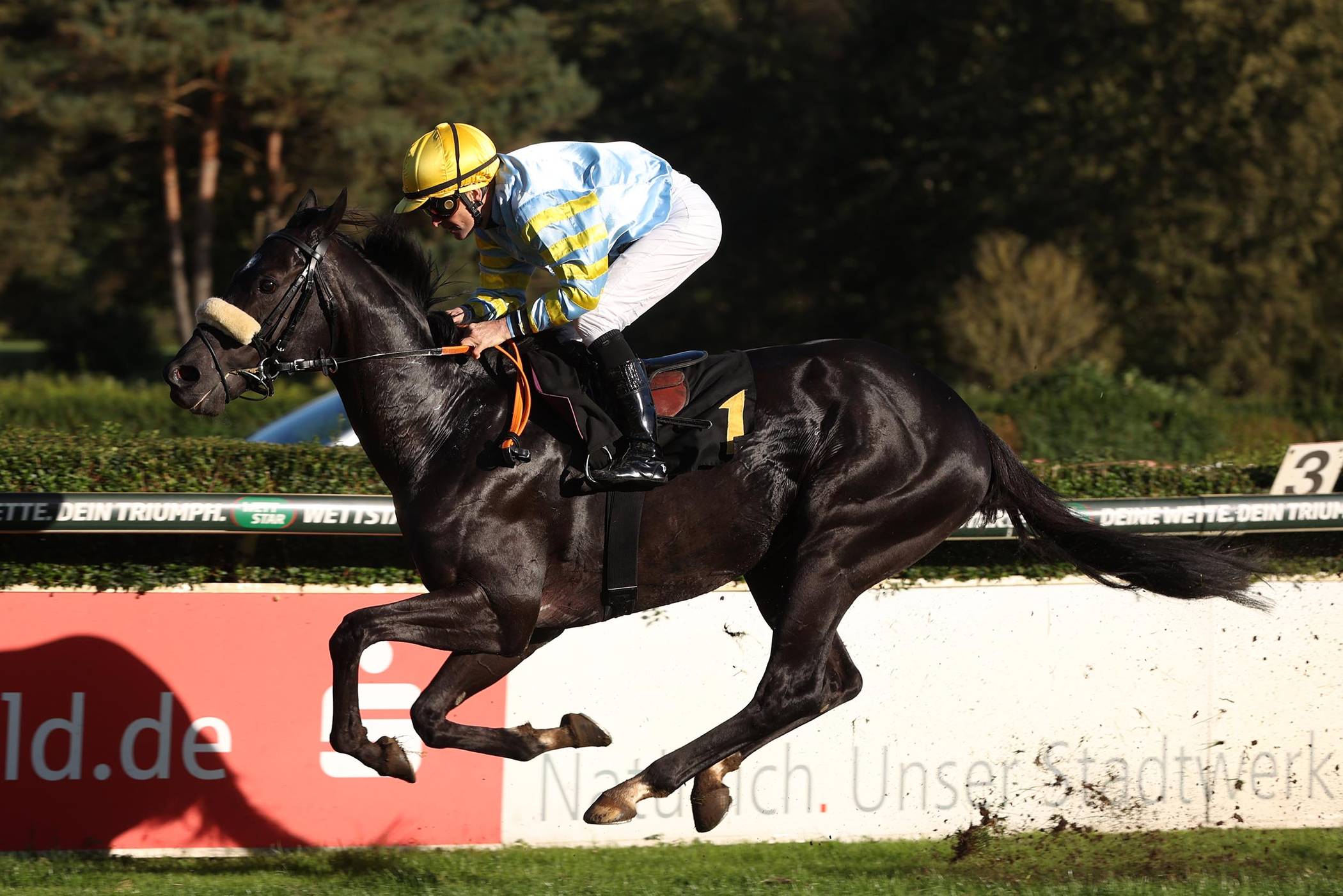 Große Resonanz zum 1. Renntag der Krefelder Industrie​