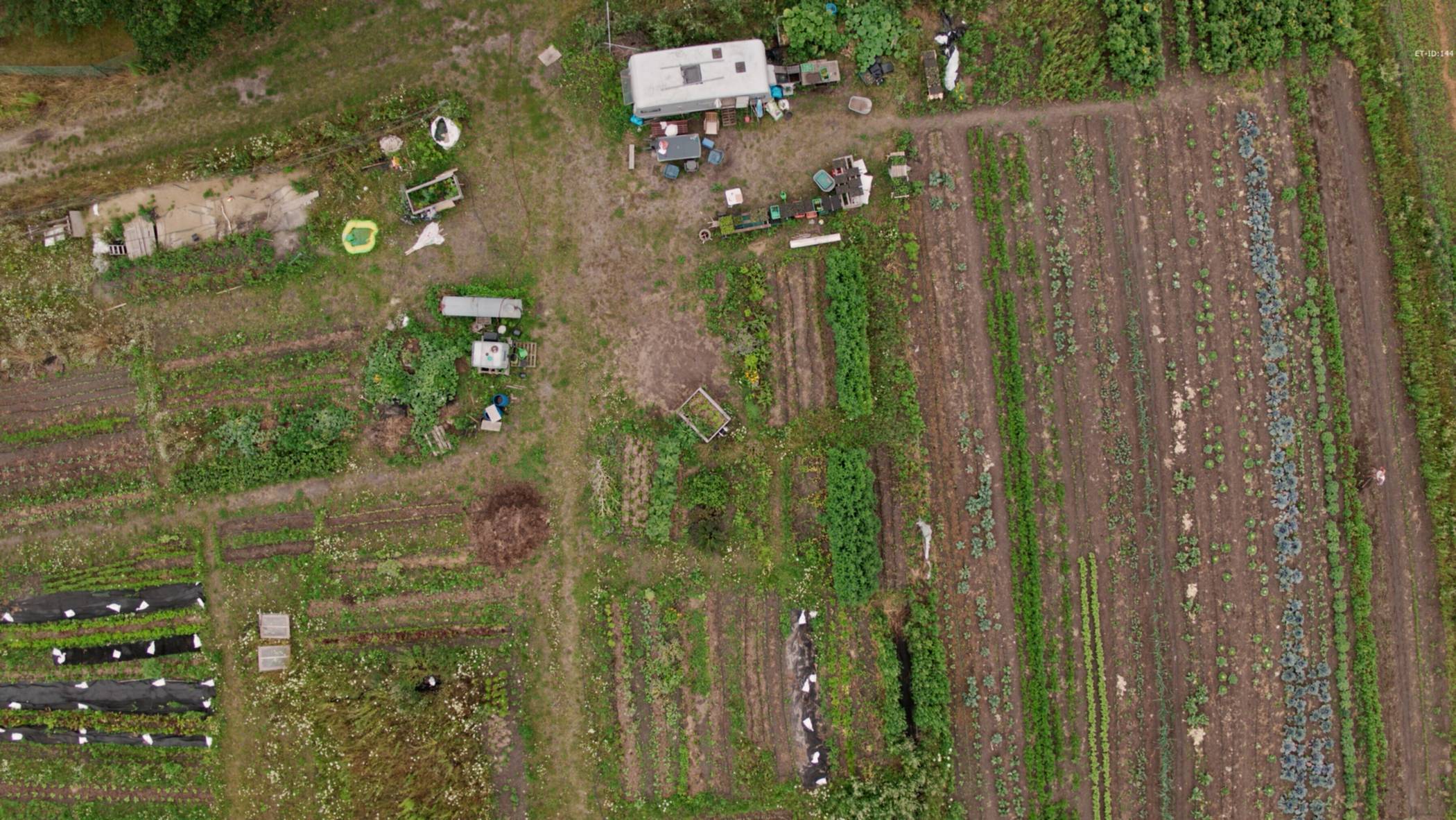 SoLaWi: Landwirtschaft als Gemeinschaftsprojekt nach den Werten von Ökologie und Gemeinwohl.