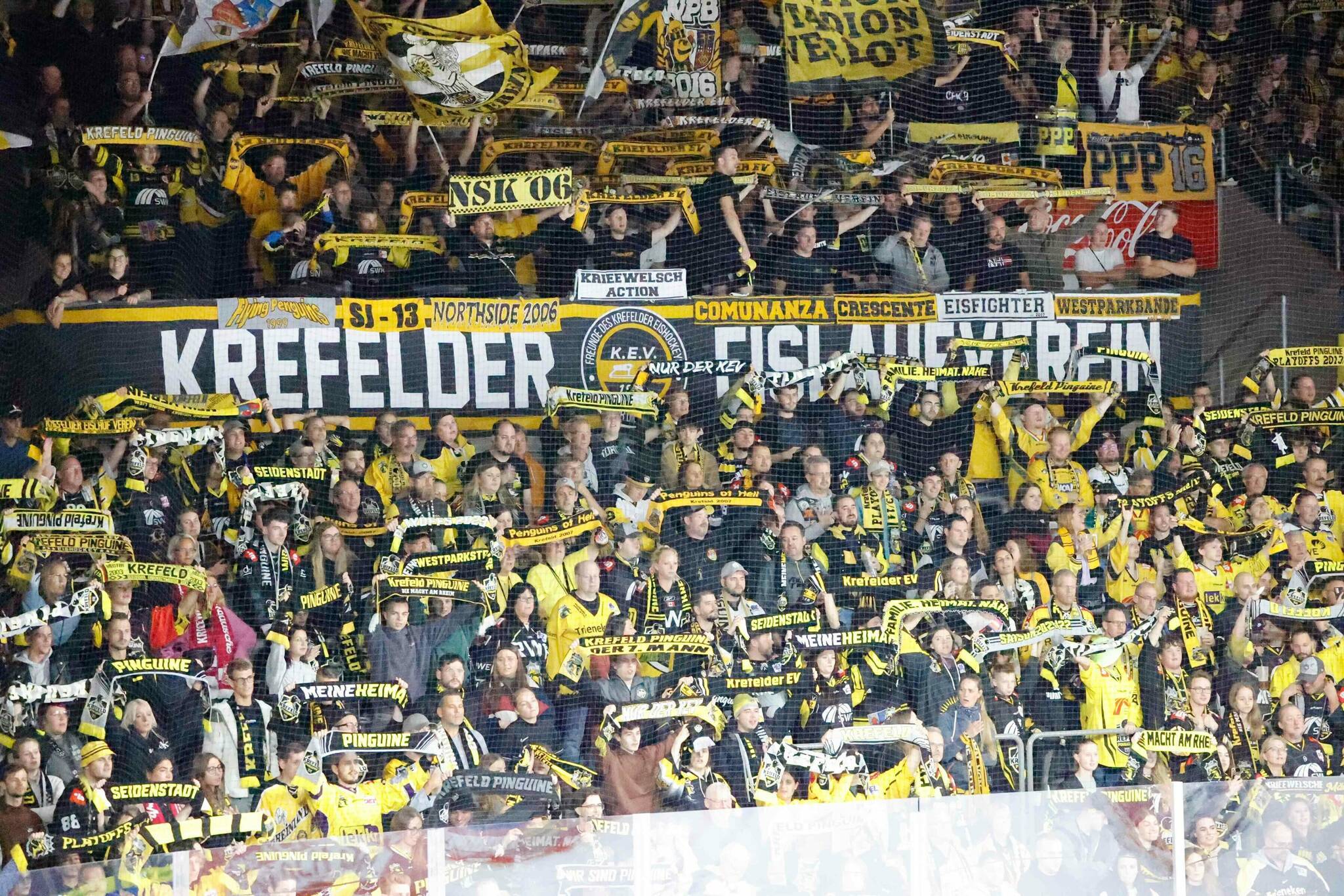 Krefeld Pinguine passen Sicherheitskonzept an