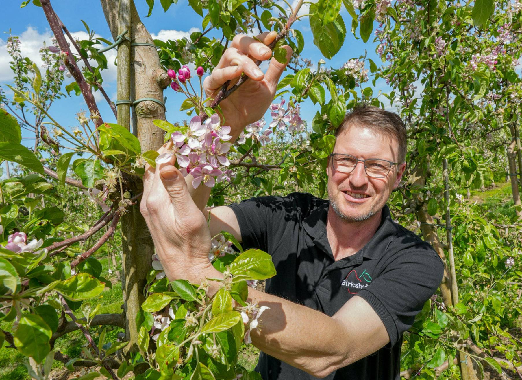 Auf dem Birkshof ist noch alles im grünen Bereich. Nicht die Blüten seien so empfindlich, sondern die Früchte im ganz frühen Stadium, sagt Obstbauer Heinz-Josef Hütten. 