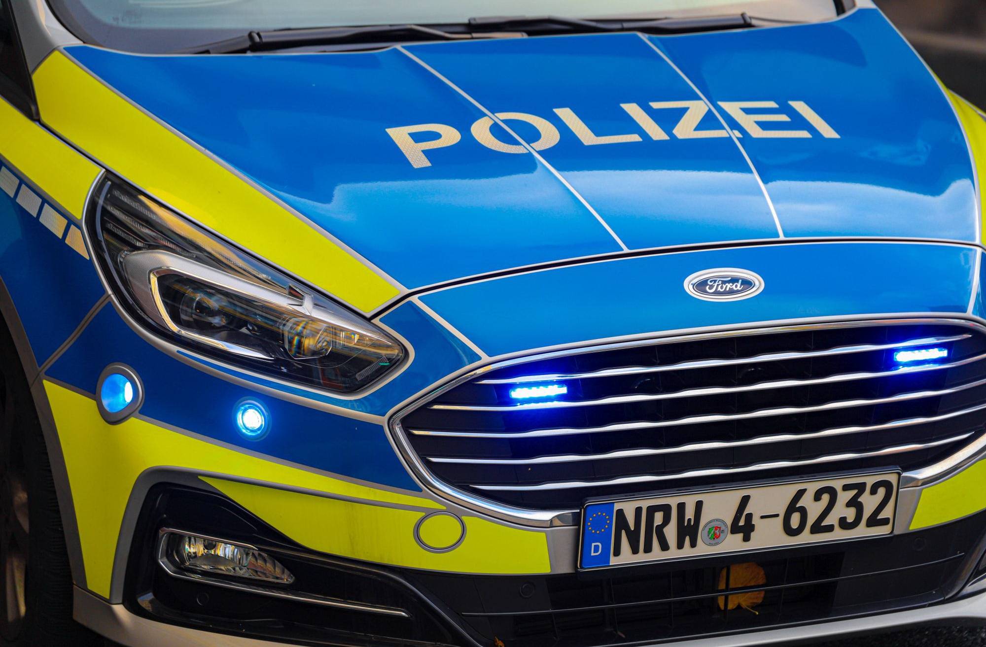 Hund im Auto konnte nur noch tot geborgen werden