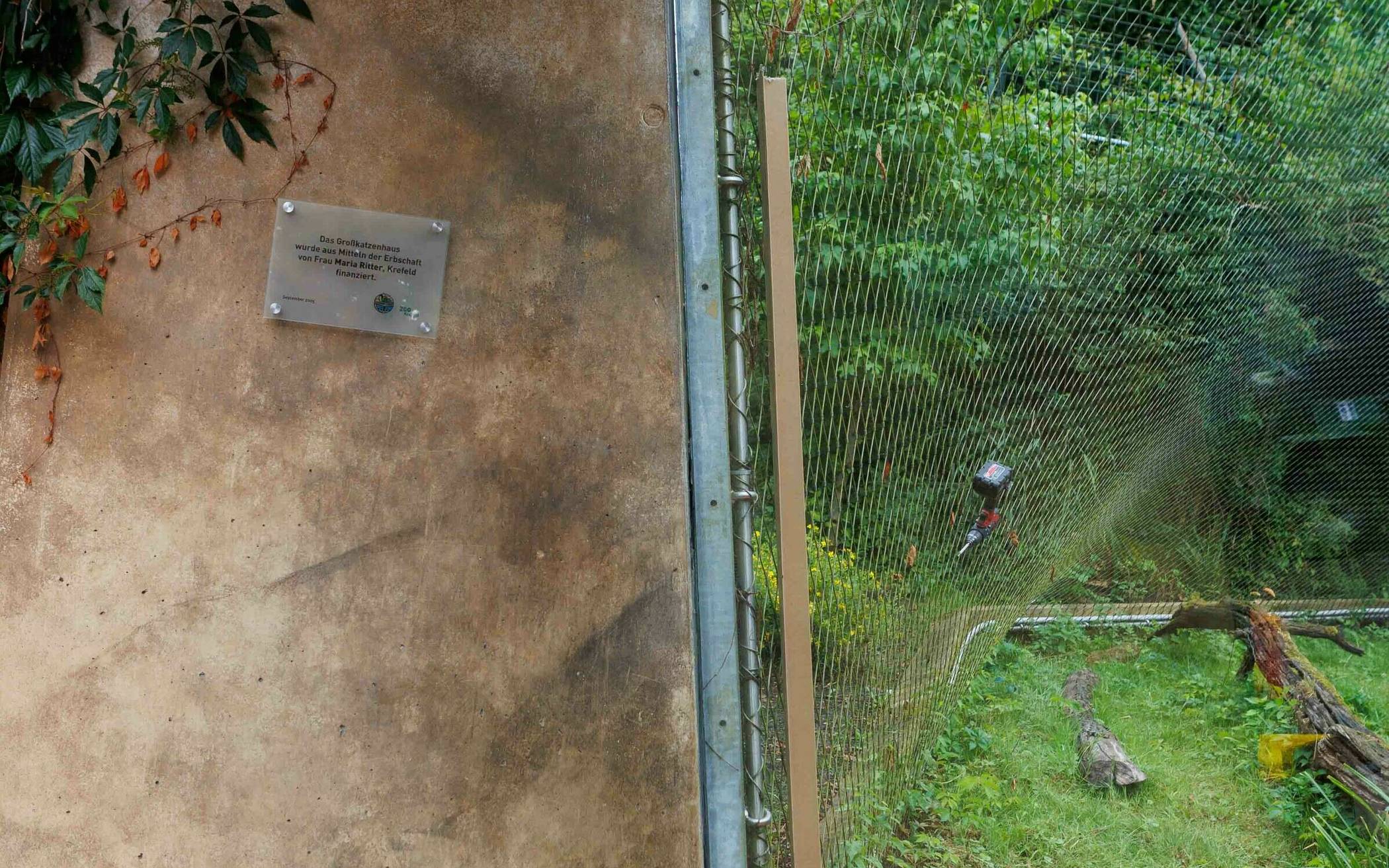 Zoo: Neue Panorama-Scheibe für das Jaguar-Gehege